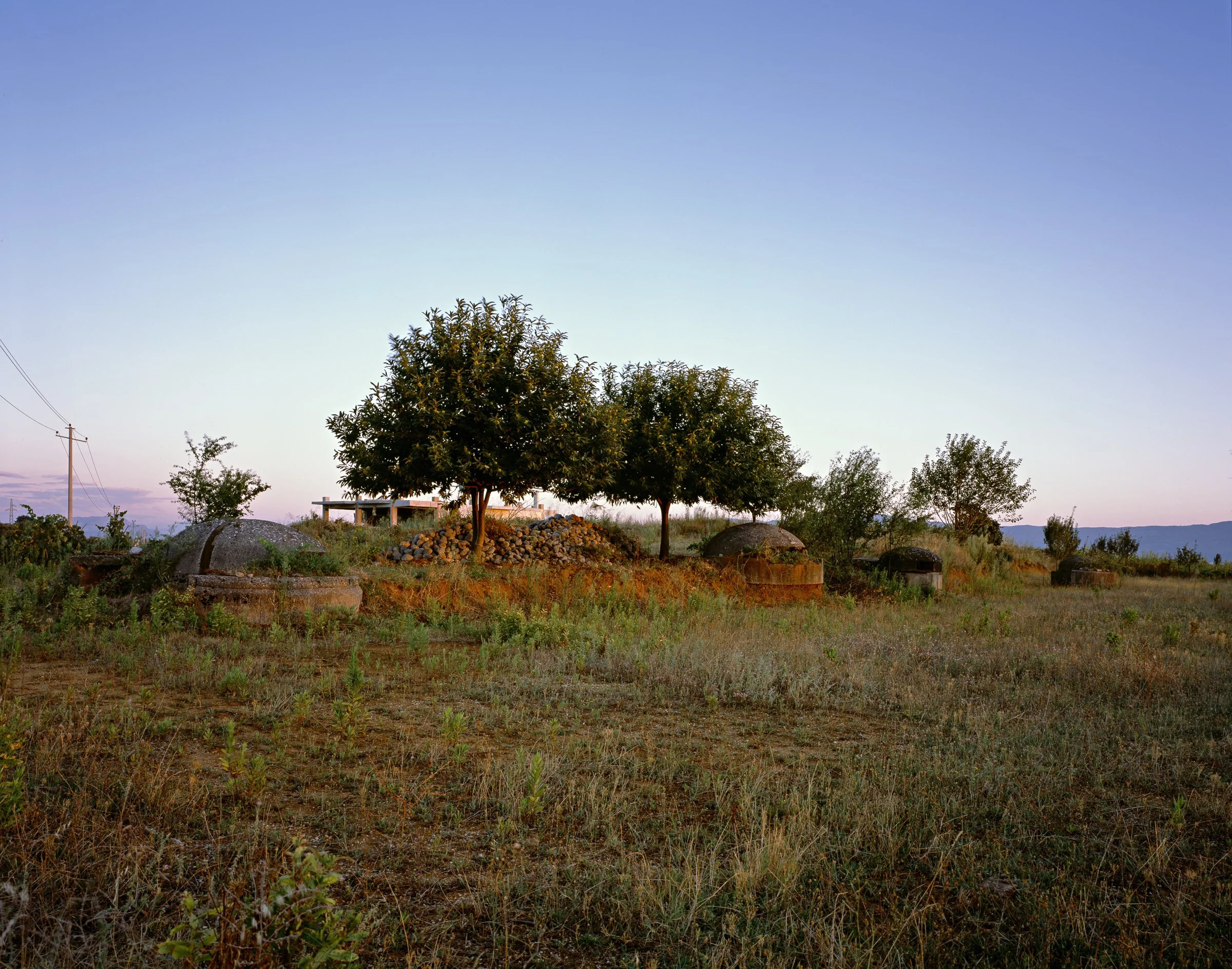 Michael Love - Four Bunkers and Olive Trees, 2014.jpg