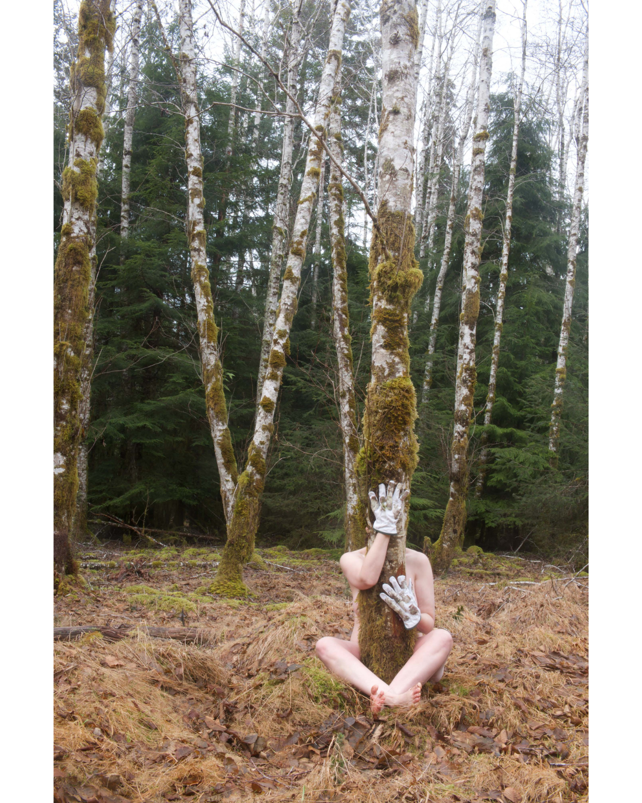 metsänpeitto-Exhibition-Richelle-Greabeiel-artwork-4.png