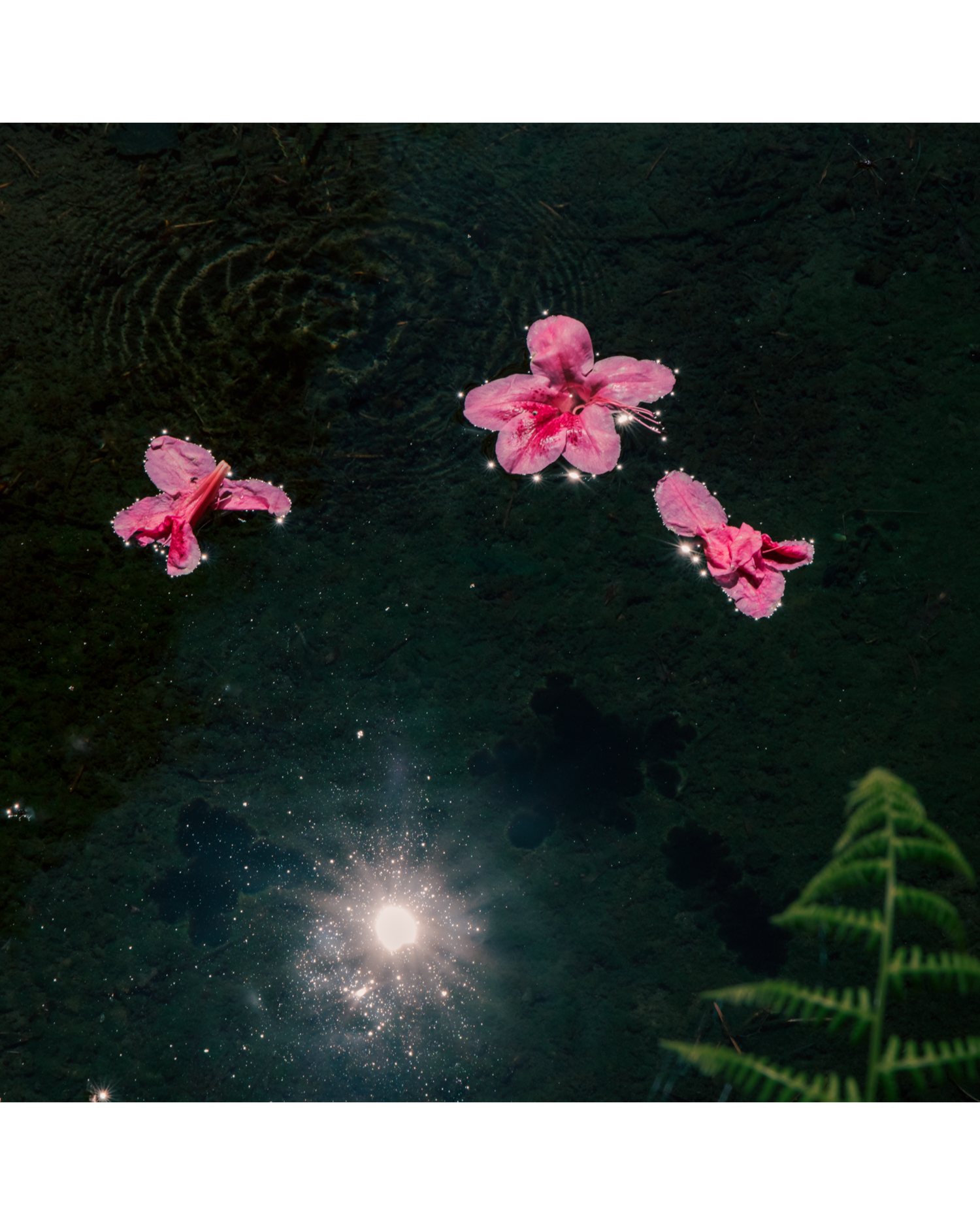 Gallery-881-Broad-Magazine-Rituals-Edition-22.png