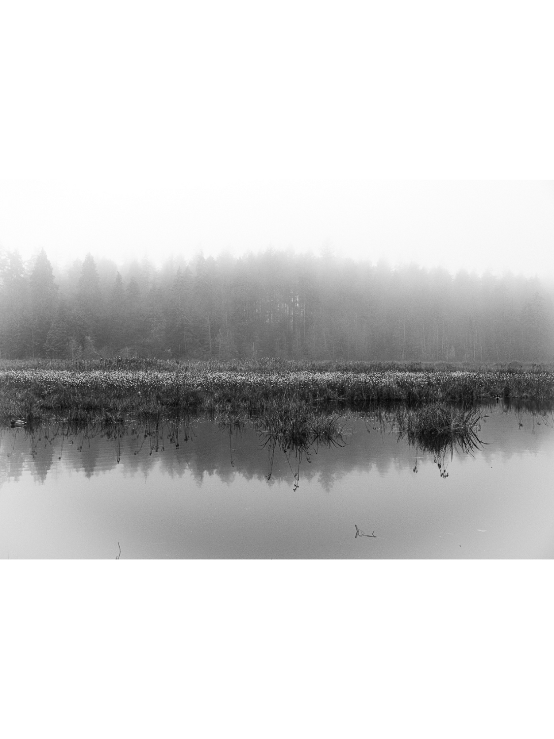 Below_the_sea_of_fog_roger_larry_6.png
