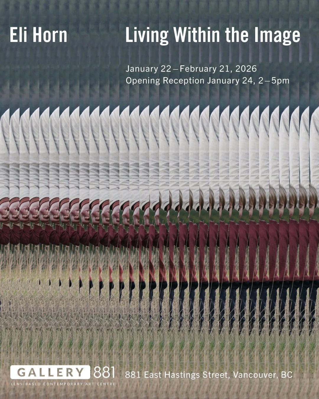 Living Within the Image by Eli Horn