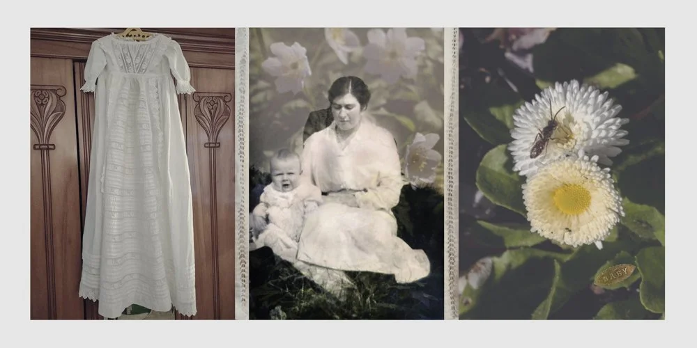 Rachel Nixon: New Life