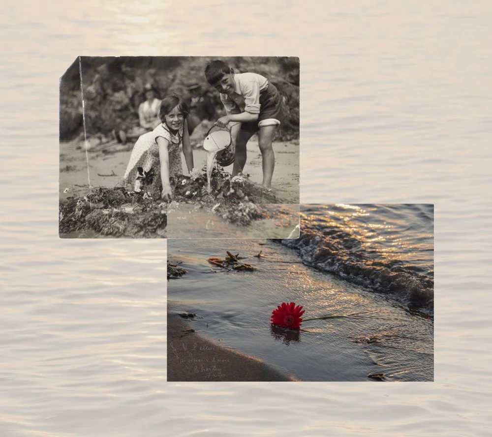 Rachel Nixon: Flowers In The Sand