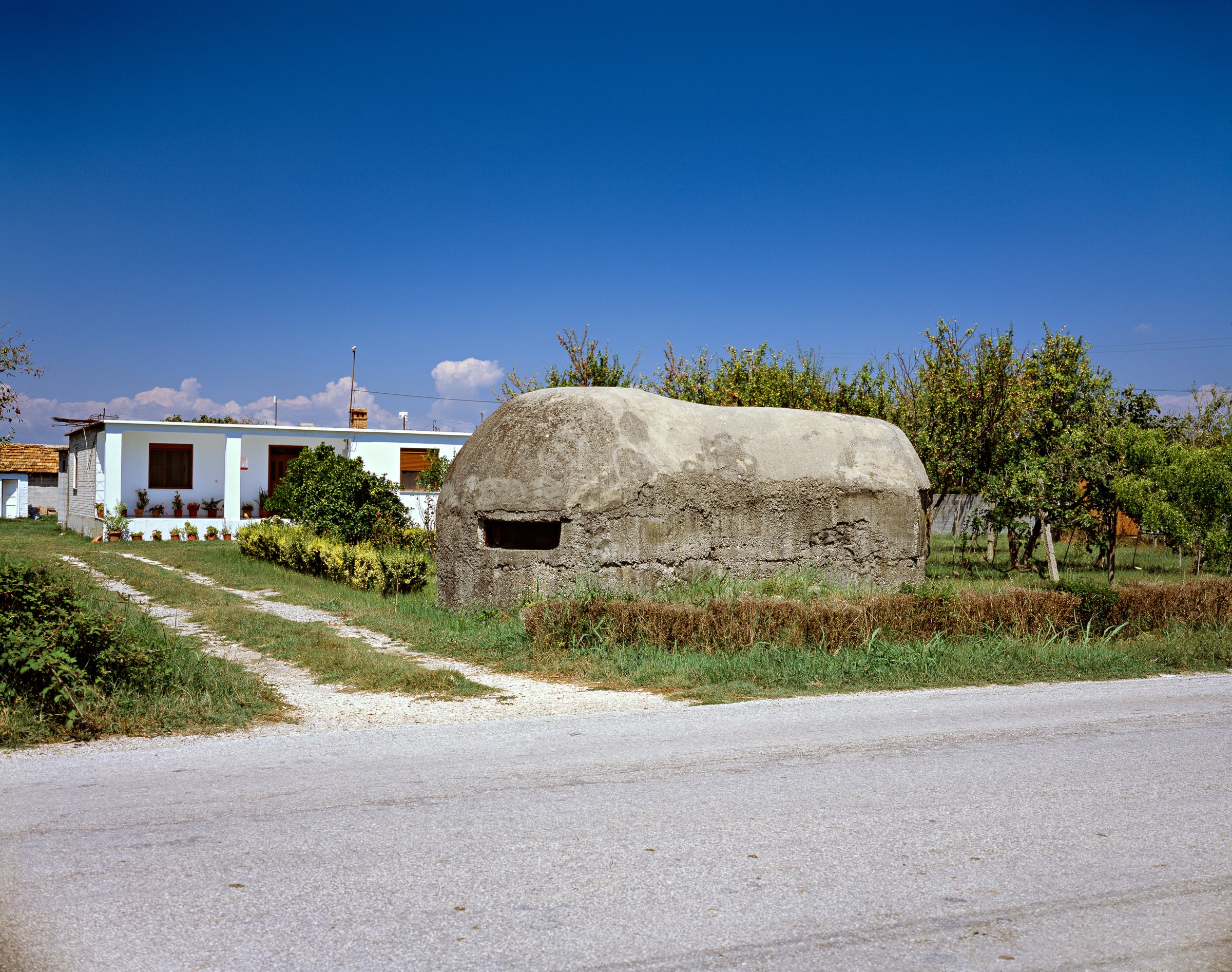 Michael Love - Front Yard, 2014.jpg