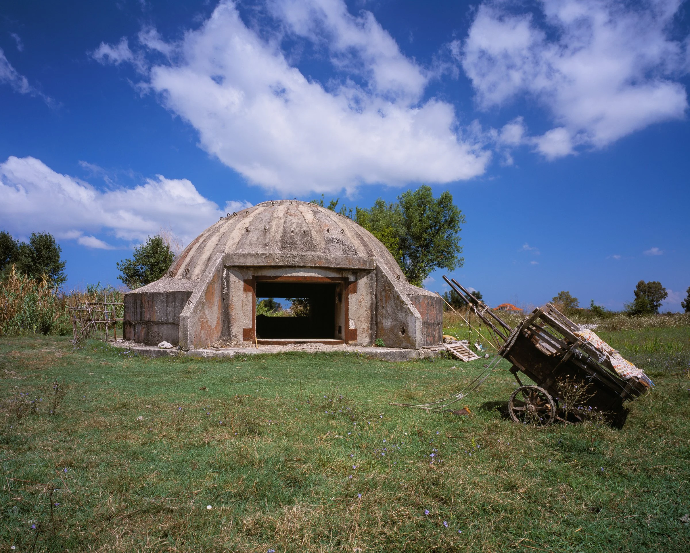 Michael Love - Farm, 2014.jpg