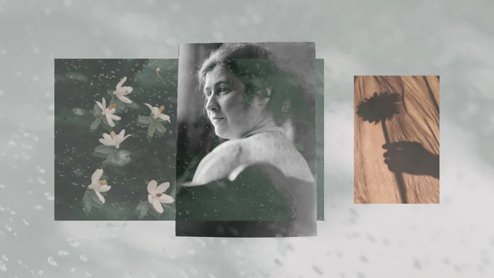 Rachel Nixon: You Turn Away From The Sun