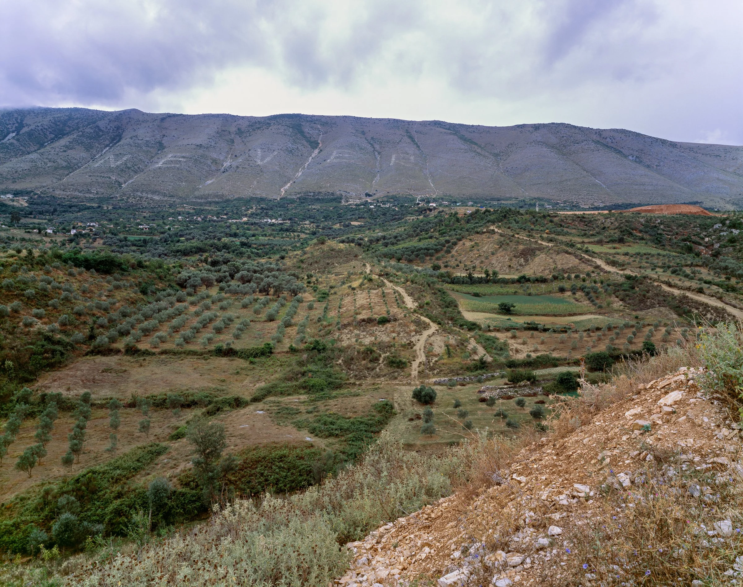 Michael Love - Shpirag Mountain, 2014.jpg