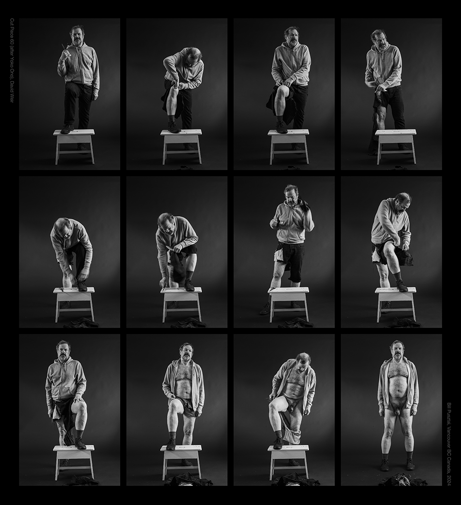 Cut Piece 60 David Weir, 20 inch grid, 2024 06 07_V2 copy.png
