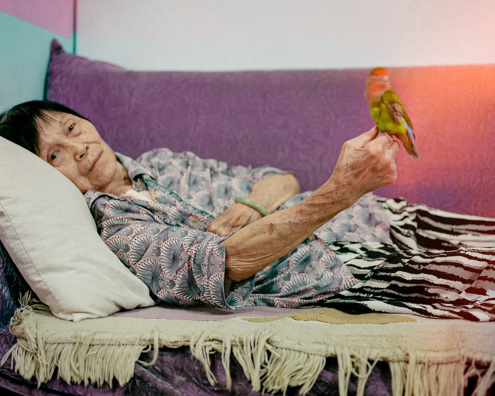 Long Xi Vlessing - The Visitation, 2025.jpg