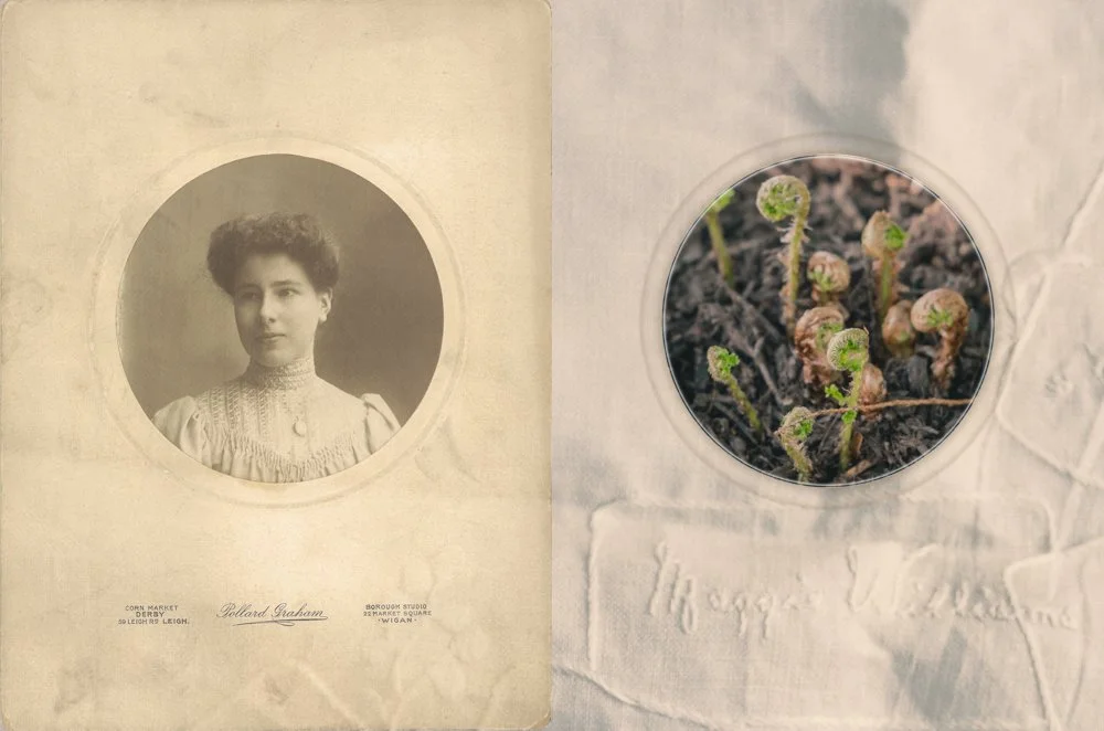 Rachel Nixon: Unfurling