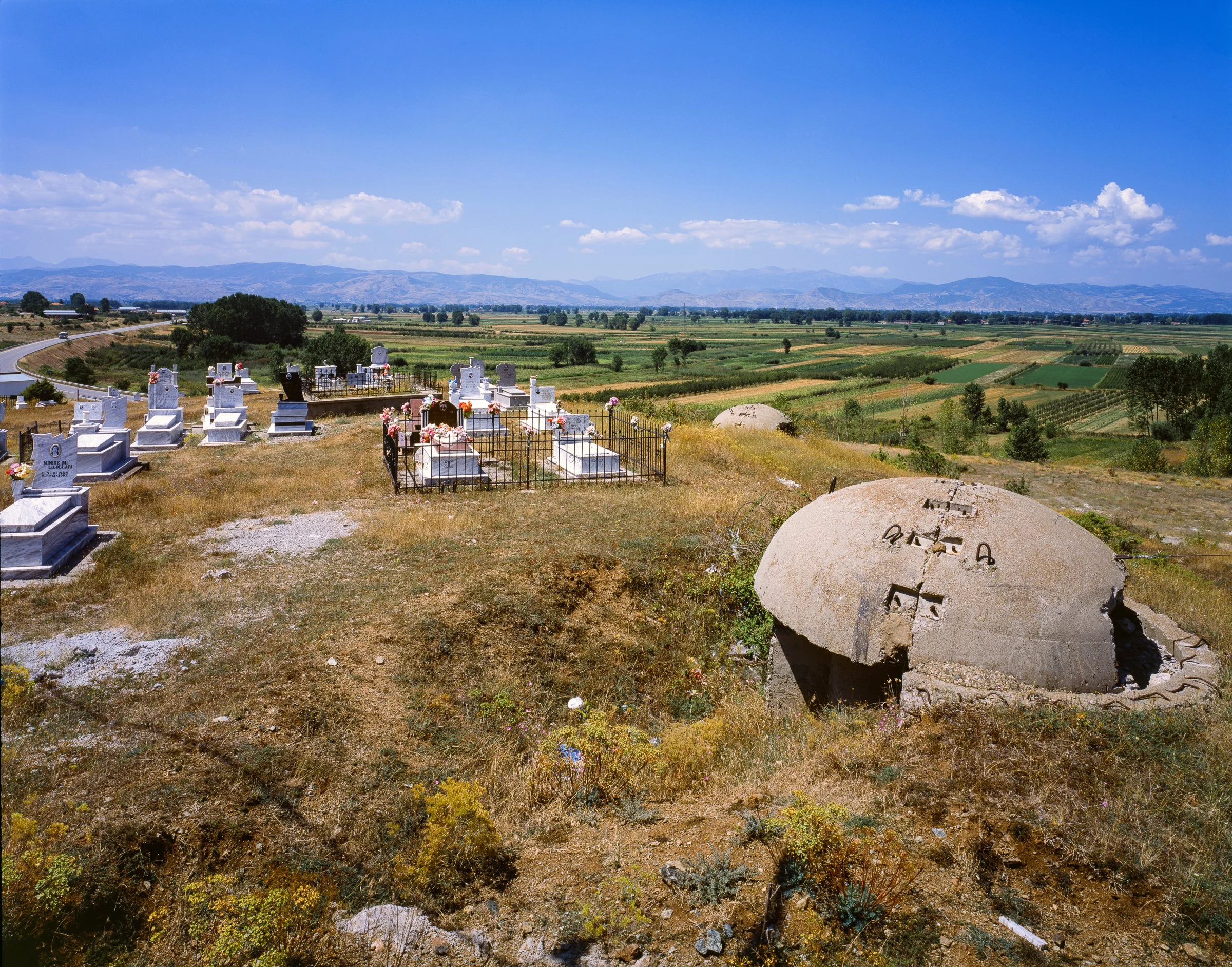 Michael Love - Graveyard, 2014.jpg