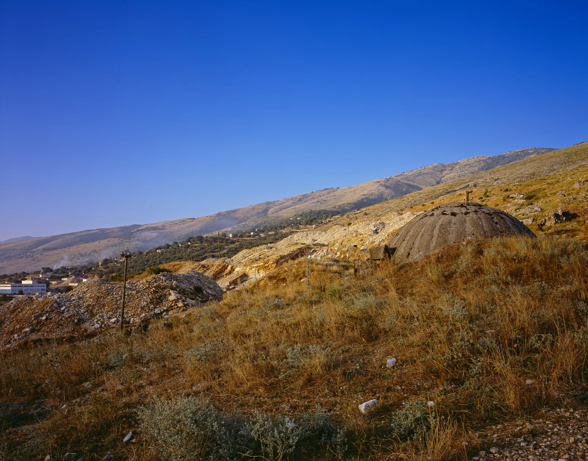 Michael Love - Hillside, 2014.jpg
