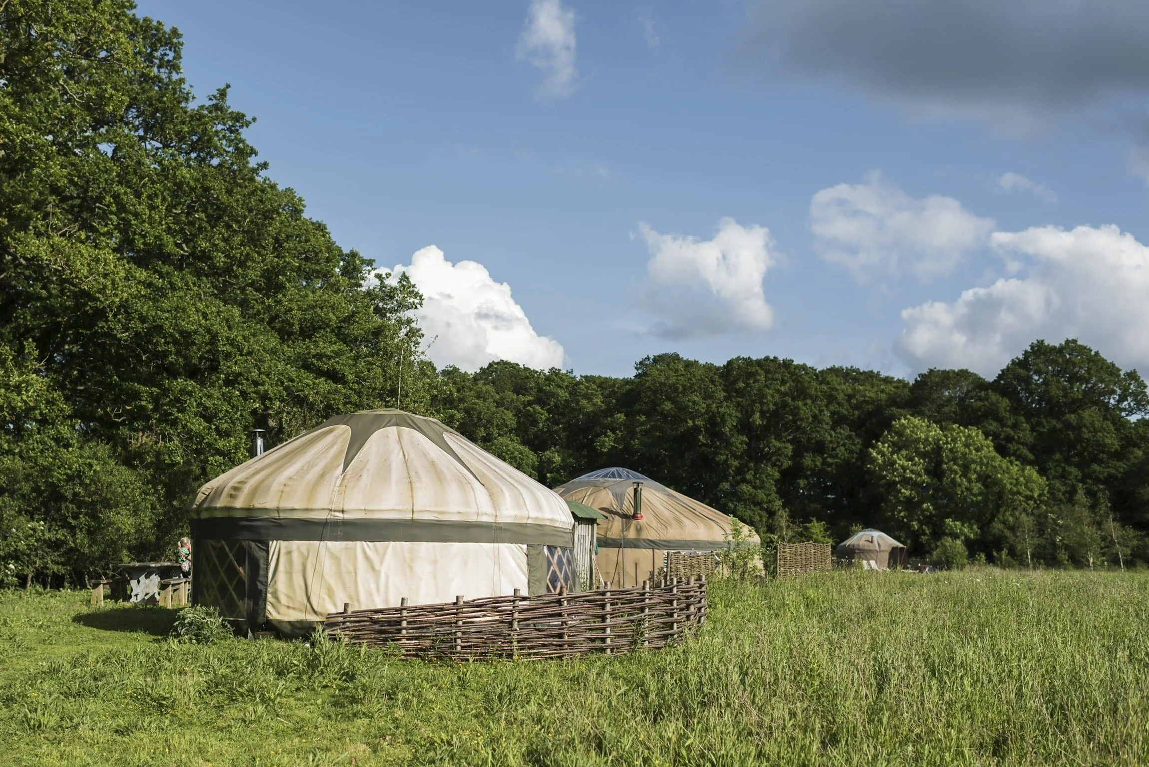 Yurts in a grassy field with trees and a blue sky with clouds.