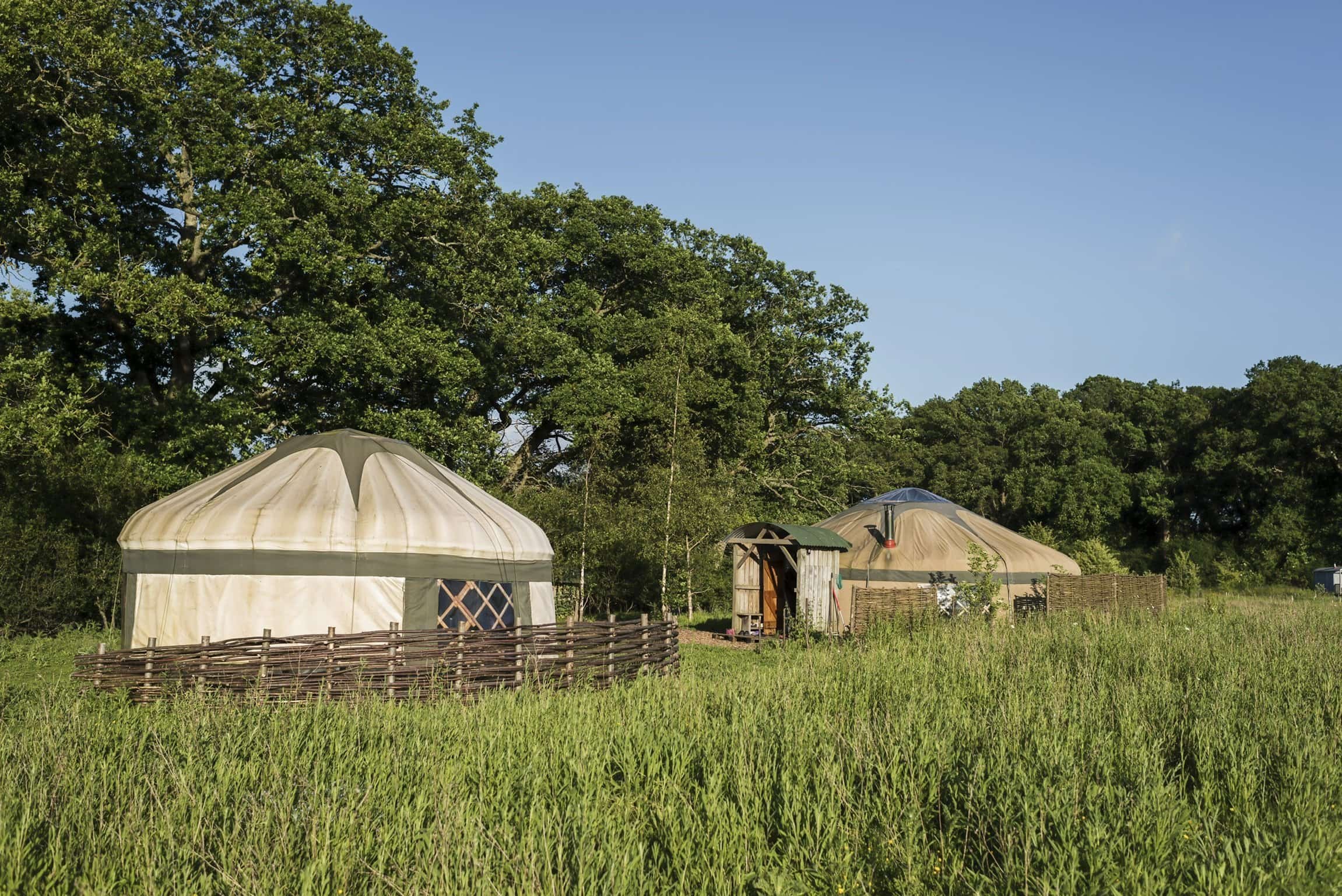Two traditional yurts in a grassy field with green trees and blue sky in the background.