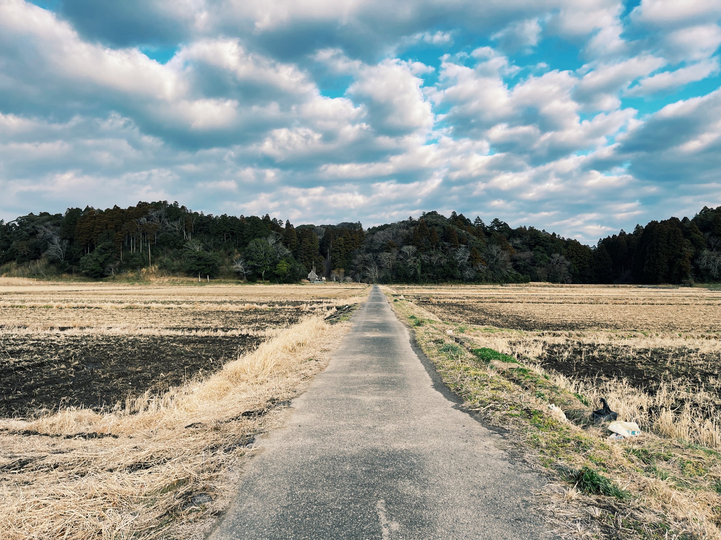C6D7E3A1-F132-4849-B8BF-C31DAEDE6AB7.jpg