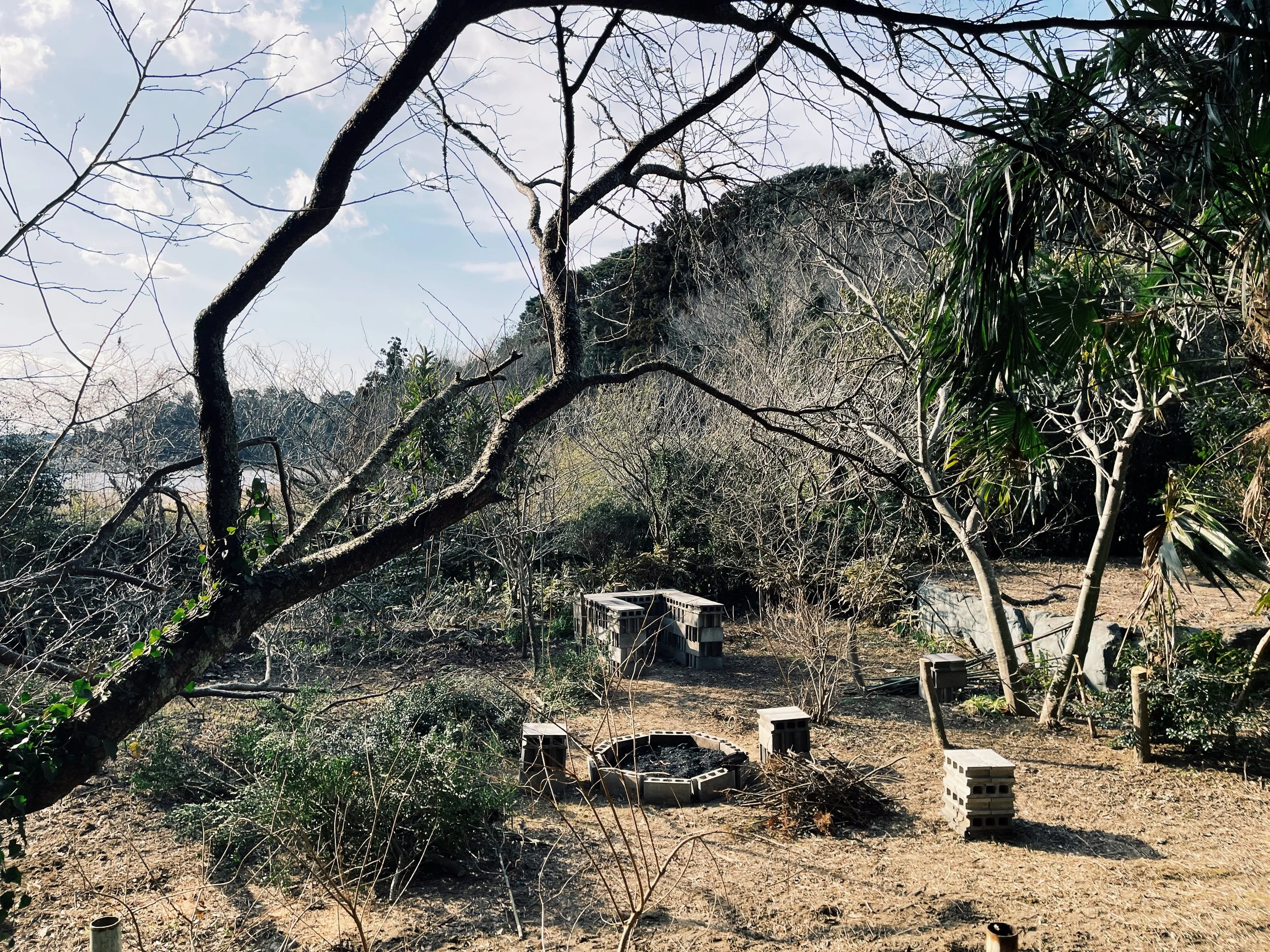 D89744C6-0D4D-41B9-82D8-CC6E3B77067C 2.JPG