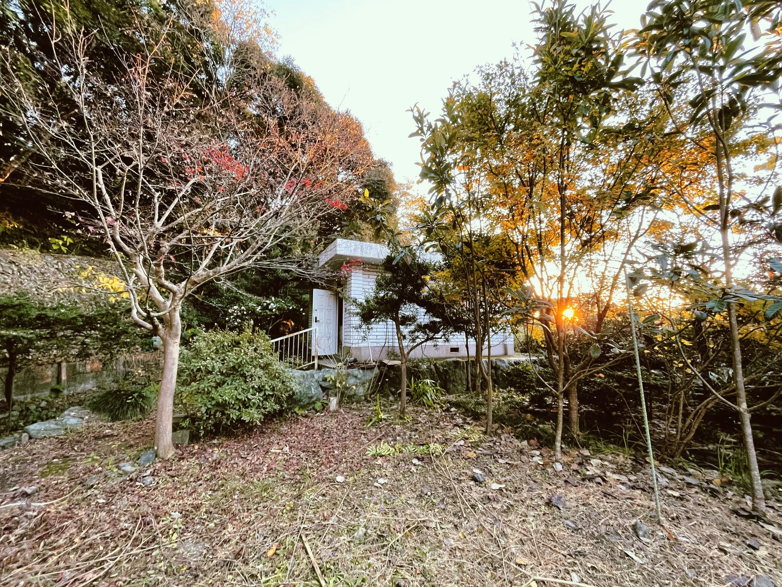 D1192184-92AF-4A6A-BEF7-5A3724B73062 2.JPG