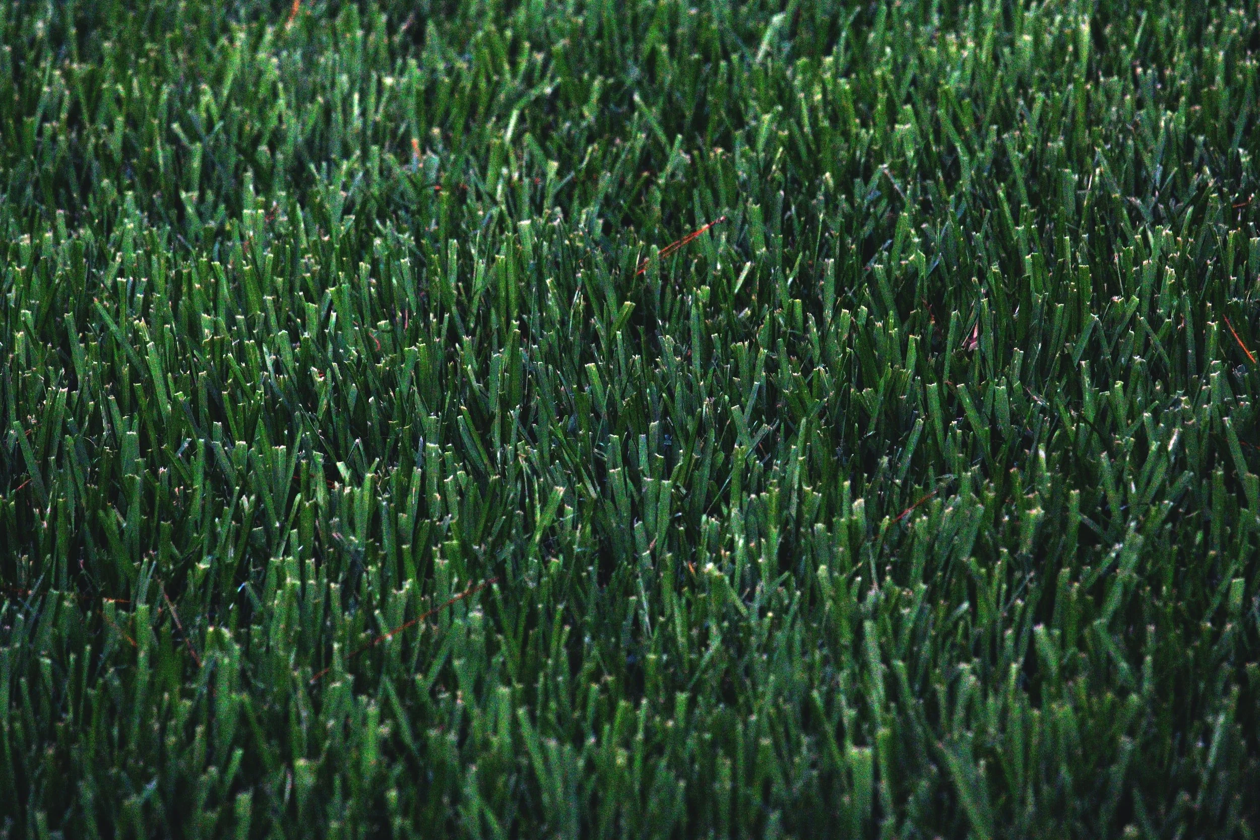 unsplash-image-OmQ9a7ayw98.jpg