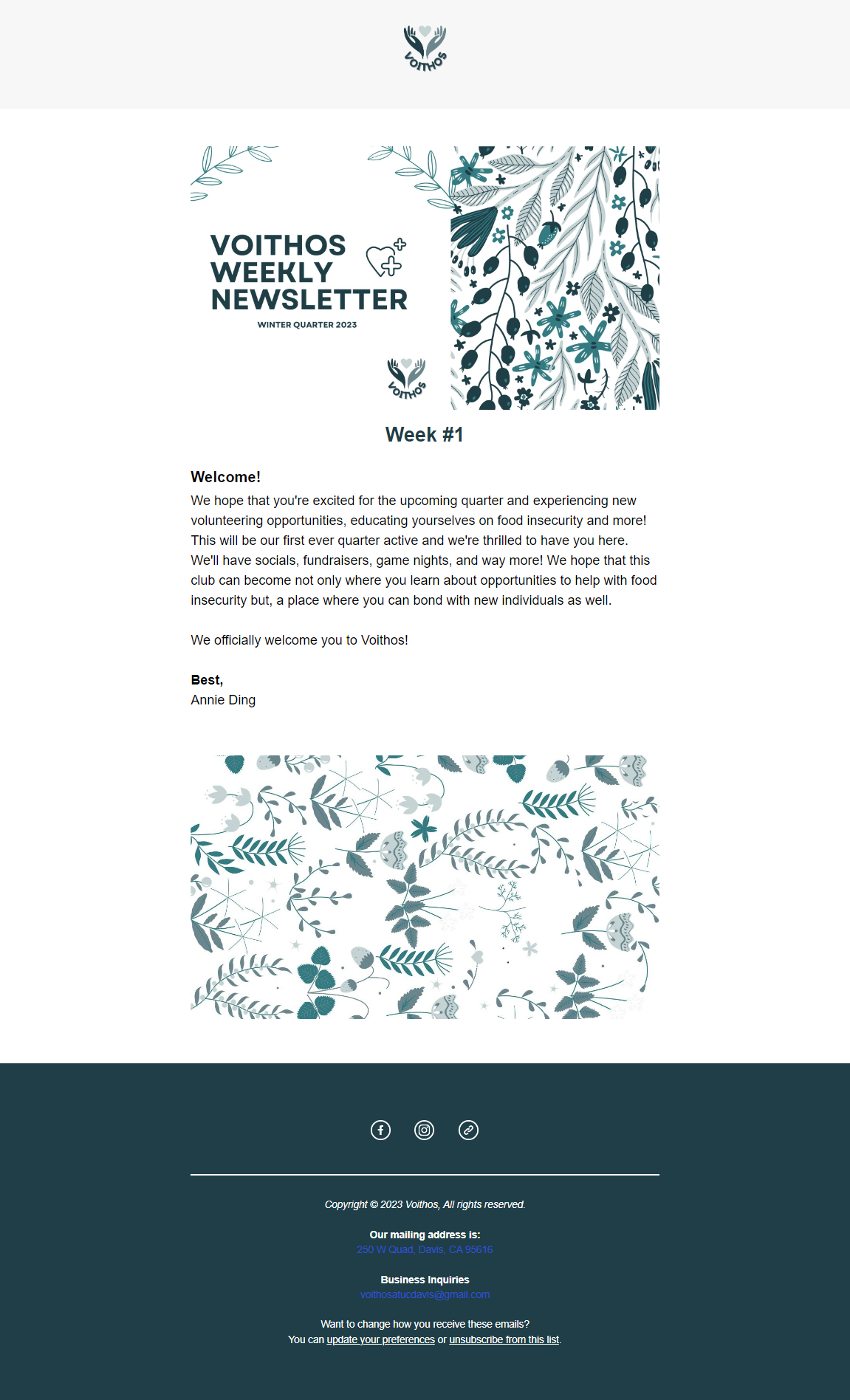 Voithos Newsletter.png