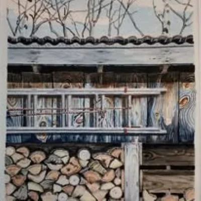 Dinsmore-neighbors+shed.jpg