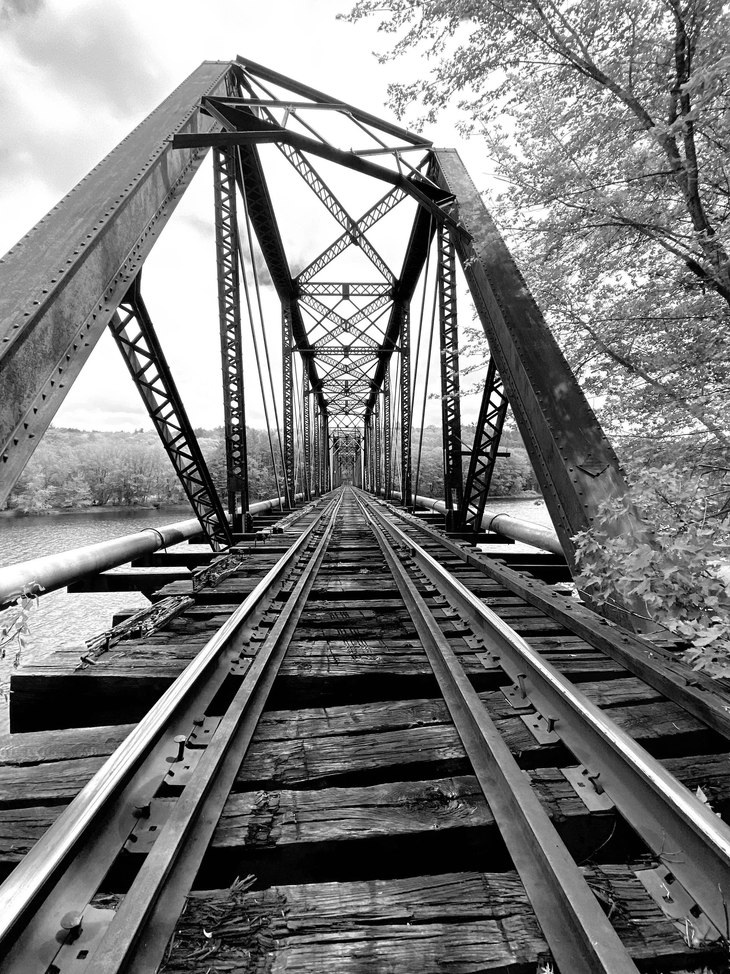 Berg-IMG_9989.jpeg
