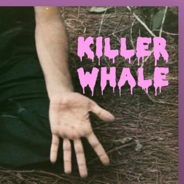 Killer Whale at The Maine House