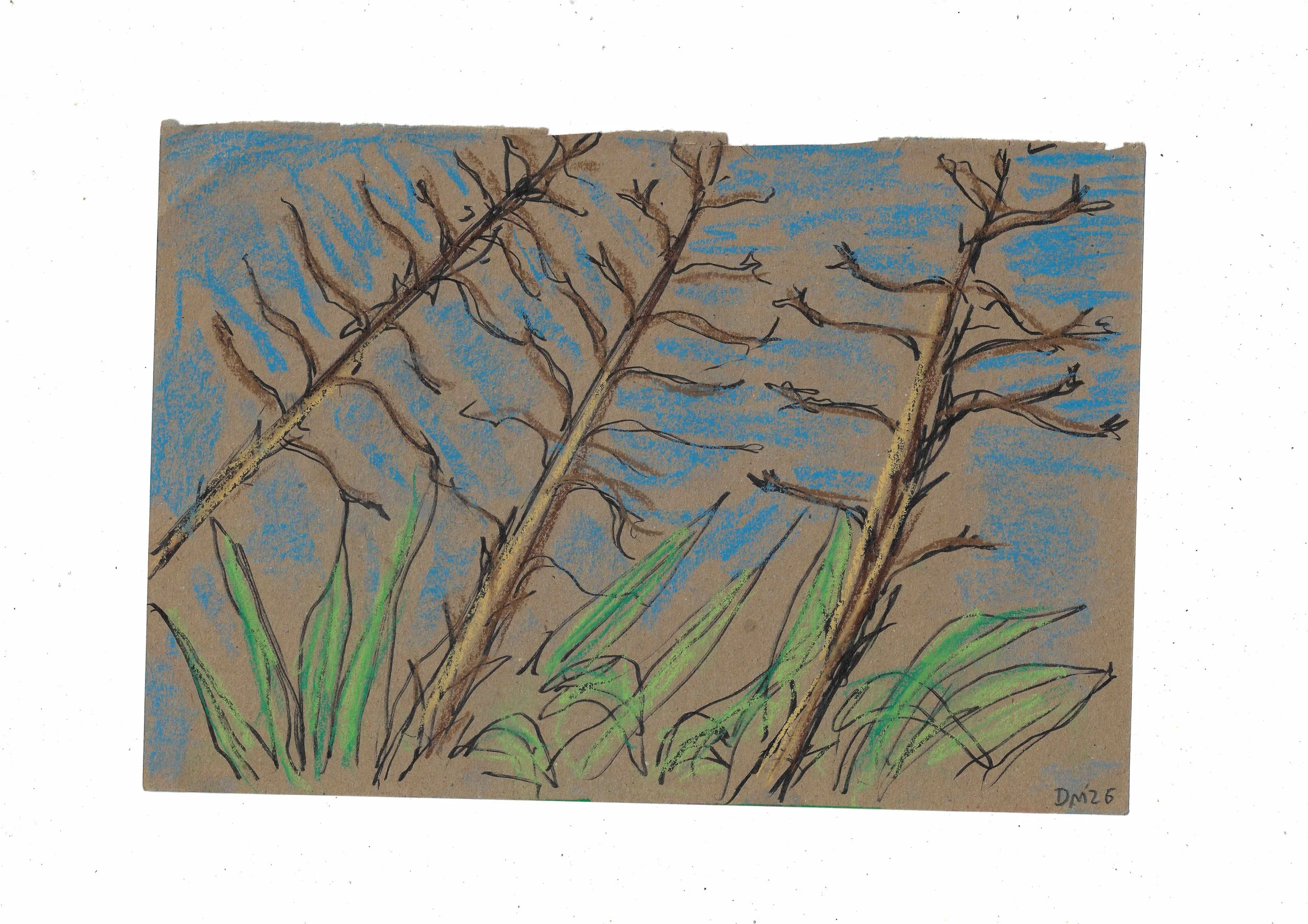 Sarchittu - 21x31cm, pen and chalk pastel on paper