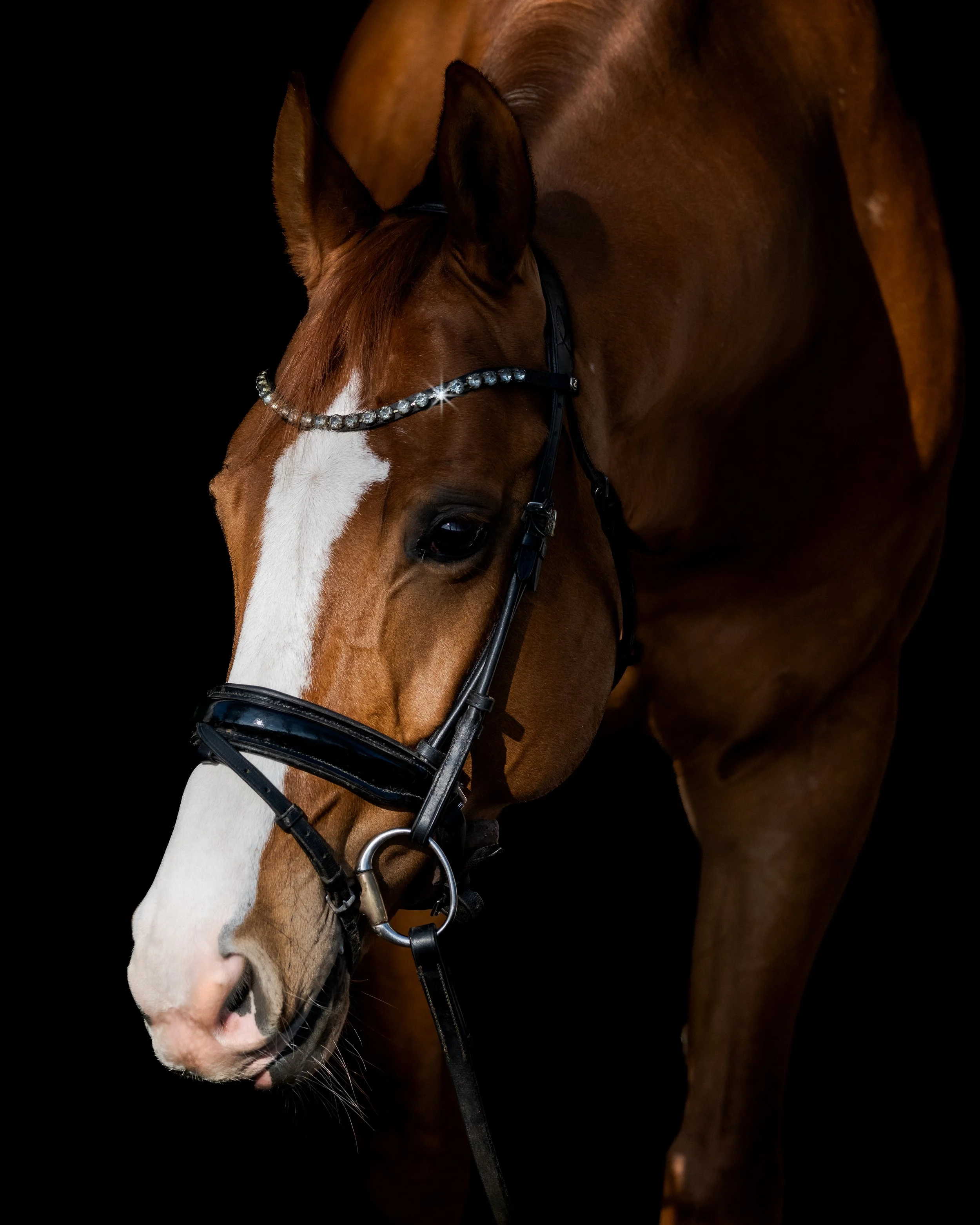 SZ8_4235-Bearbeitet 4x5.jpg