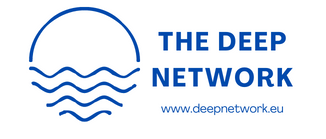 The Deep Network