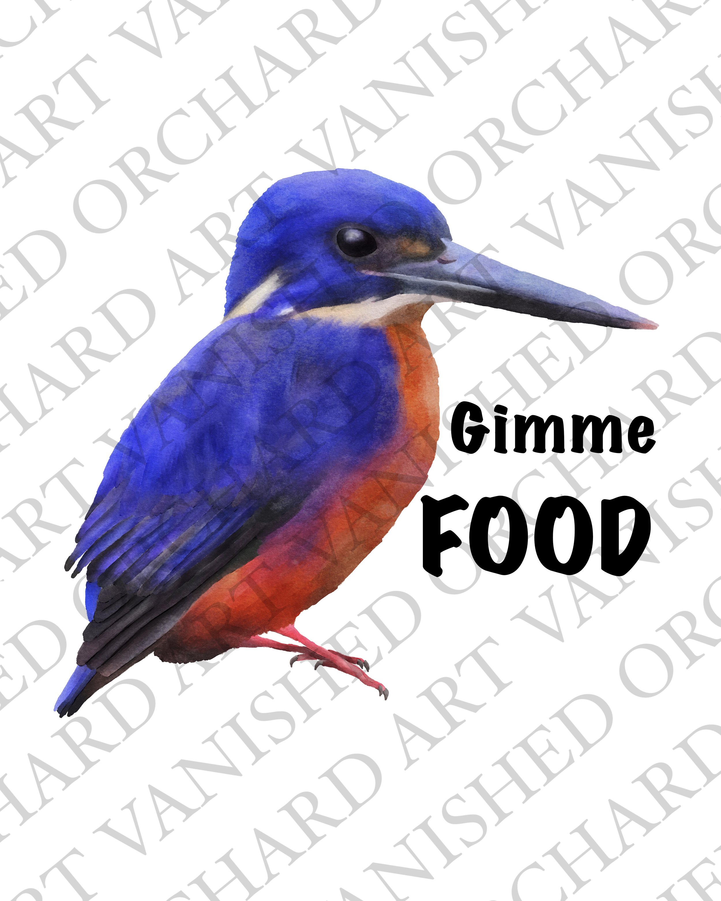 Tasmanian_Azure_Kingfisher_Sticker.jpg