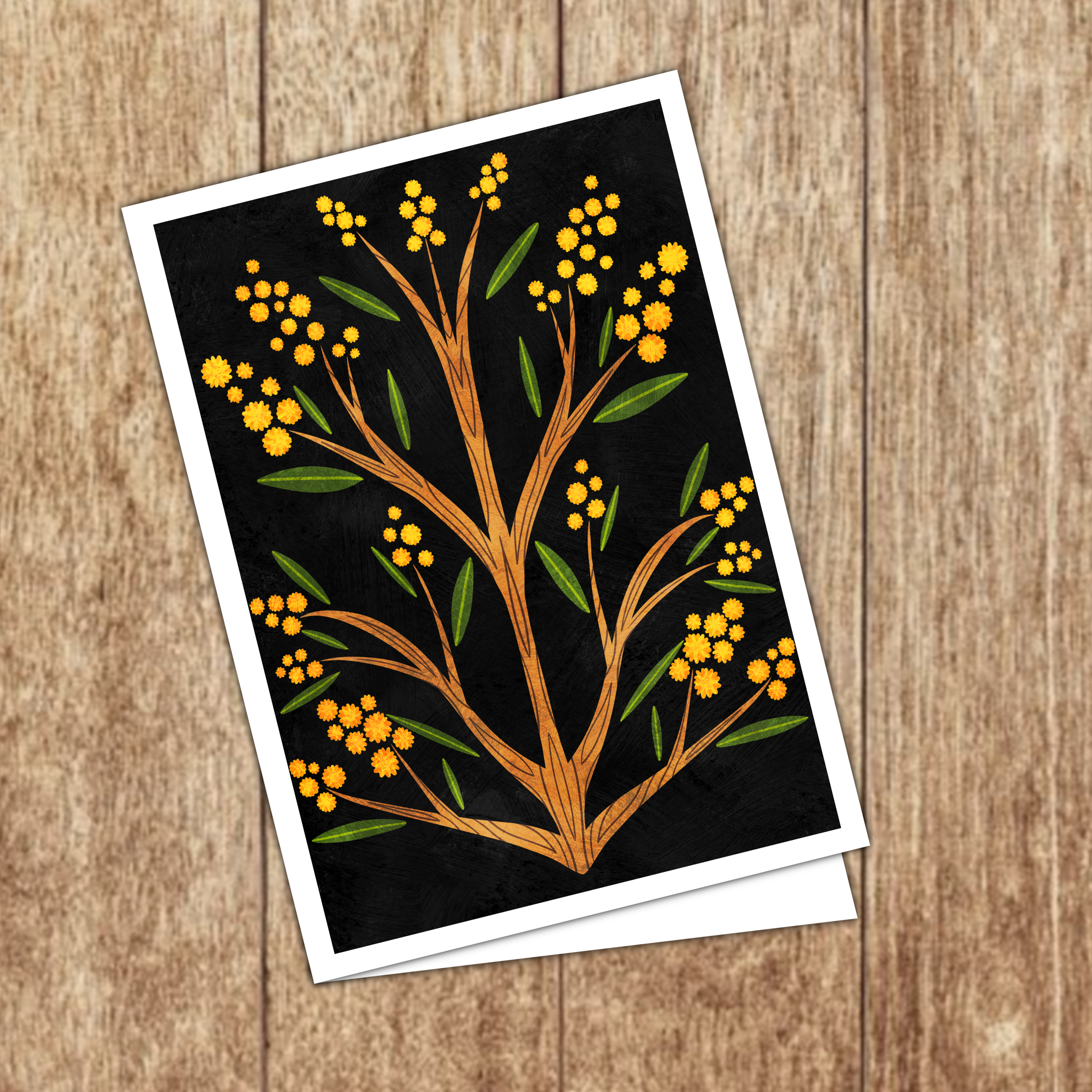 Acacia Wycinanki.png