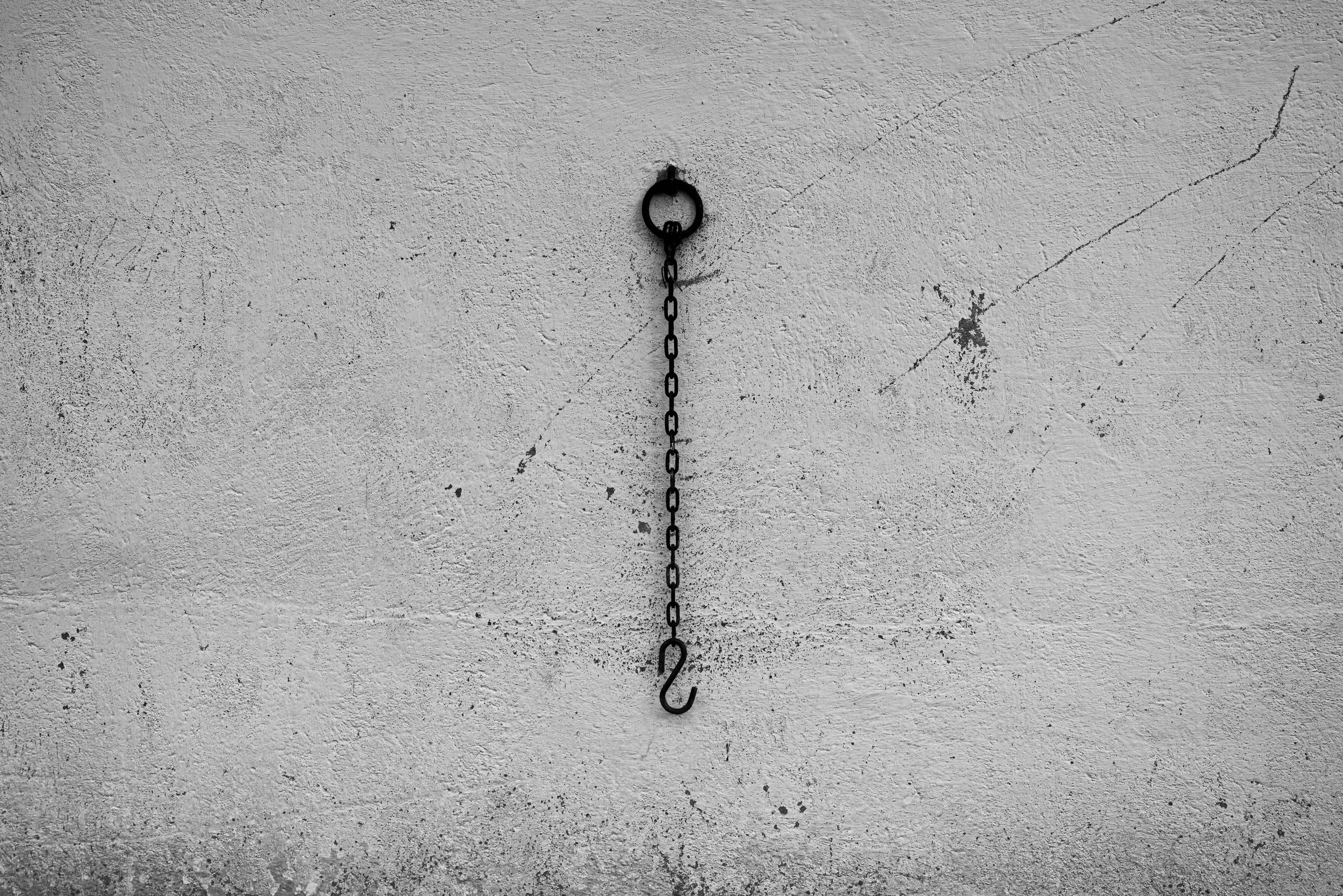 _2014551.jpg