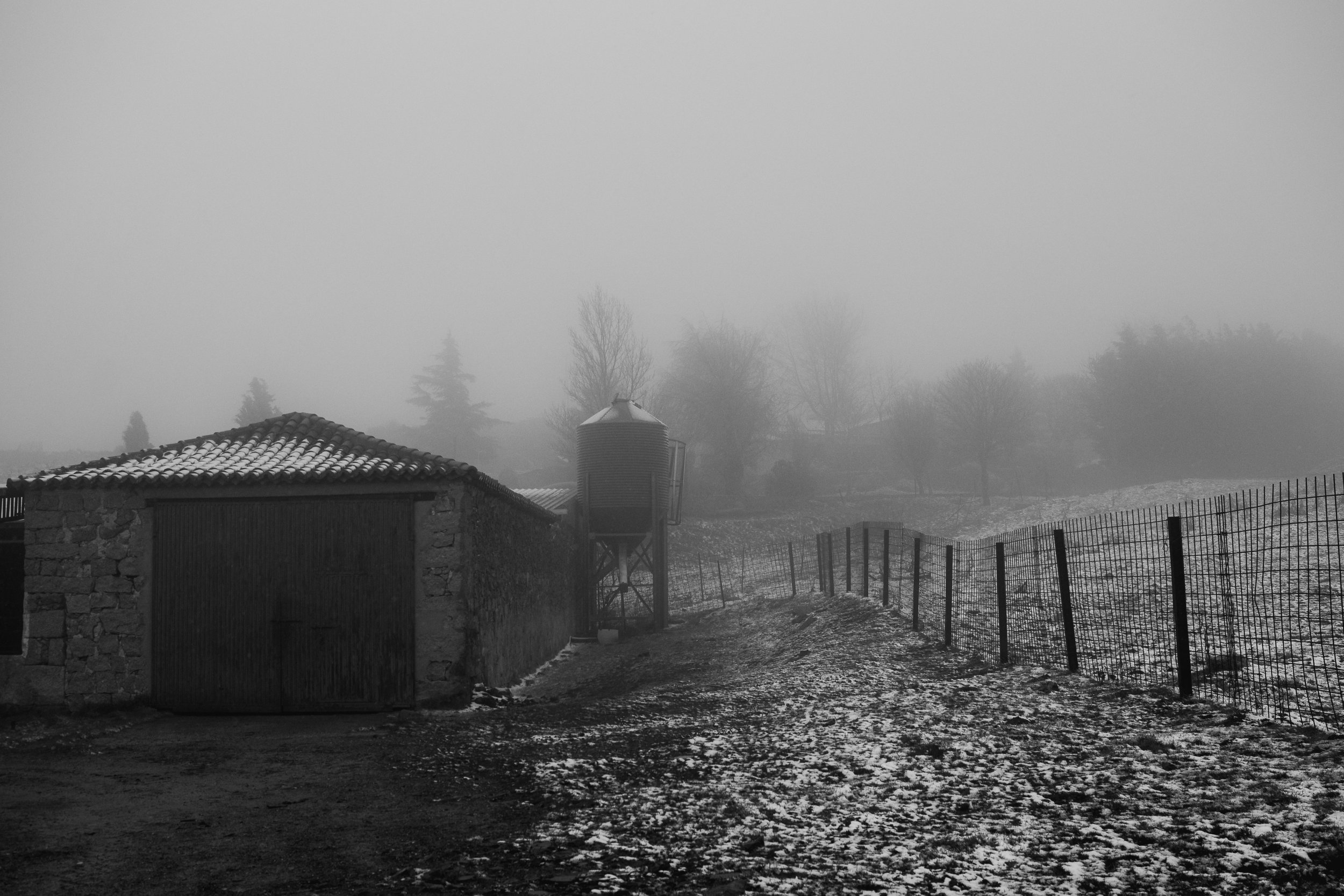 _3020344-2.jpg