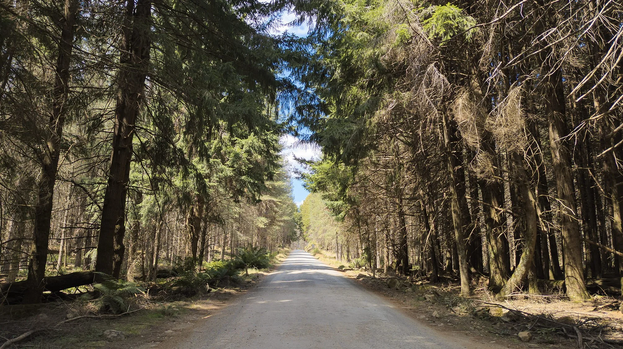 Moonan Long Weekend at Moonan Flat — Seeking Nature | AUS