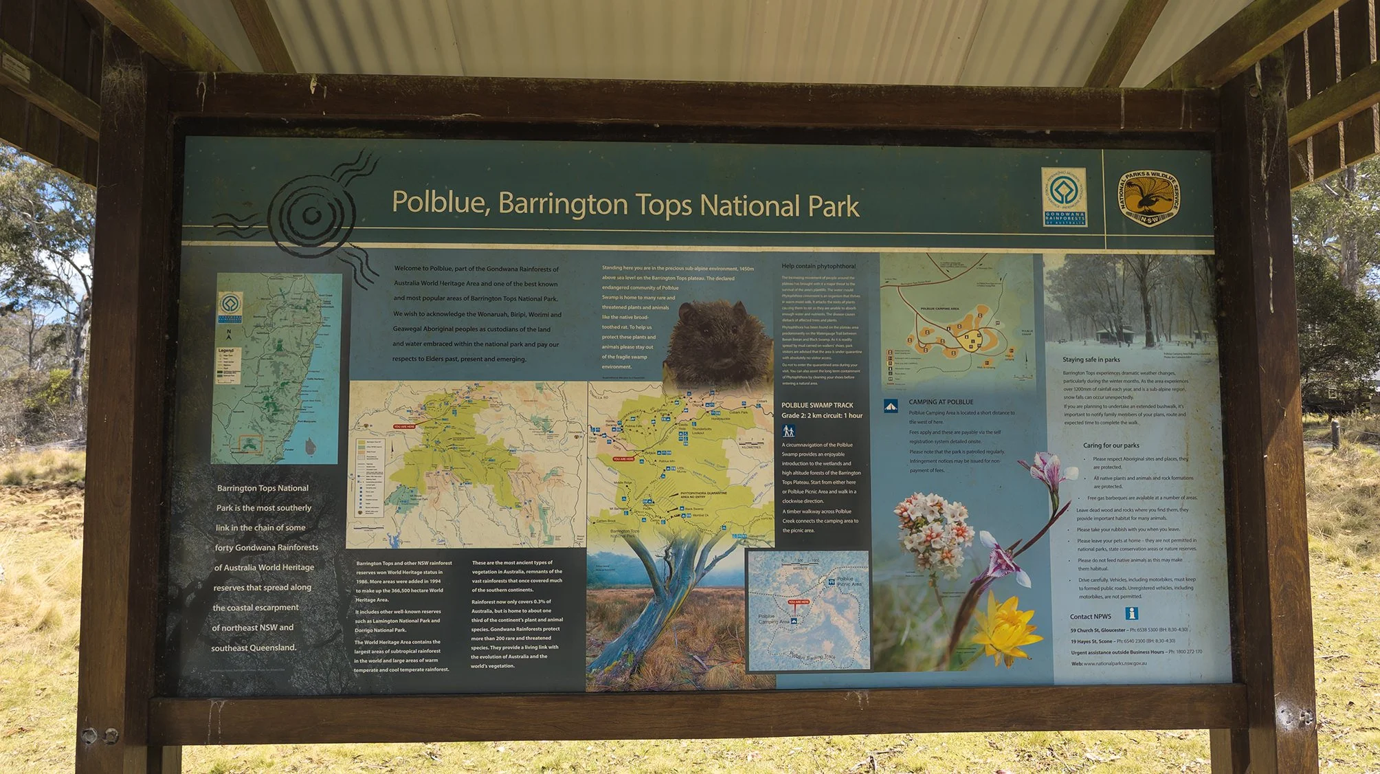 Long Weekend at Moonan Flat — Seeking Nature | AUS