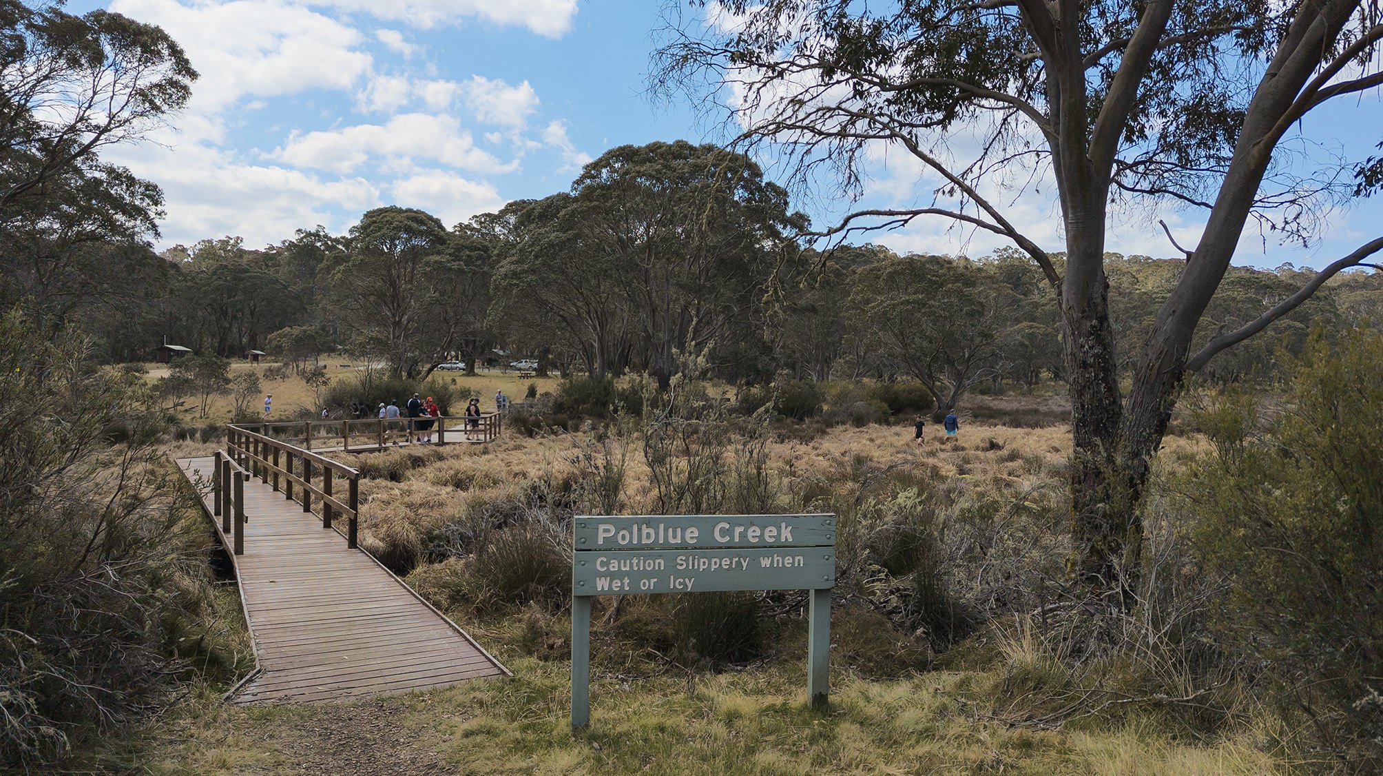 Moonan Long Weekend at Moonan Flat — Seeking Nature | AUS