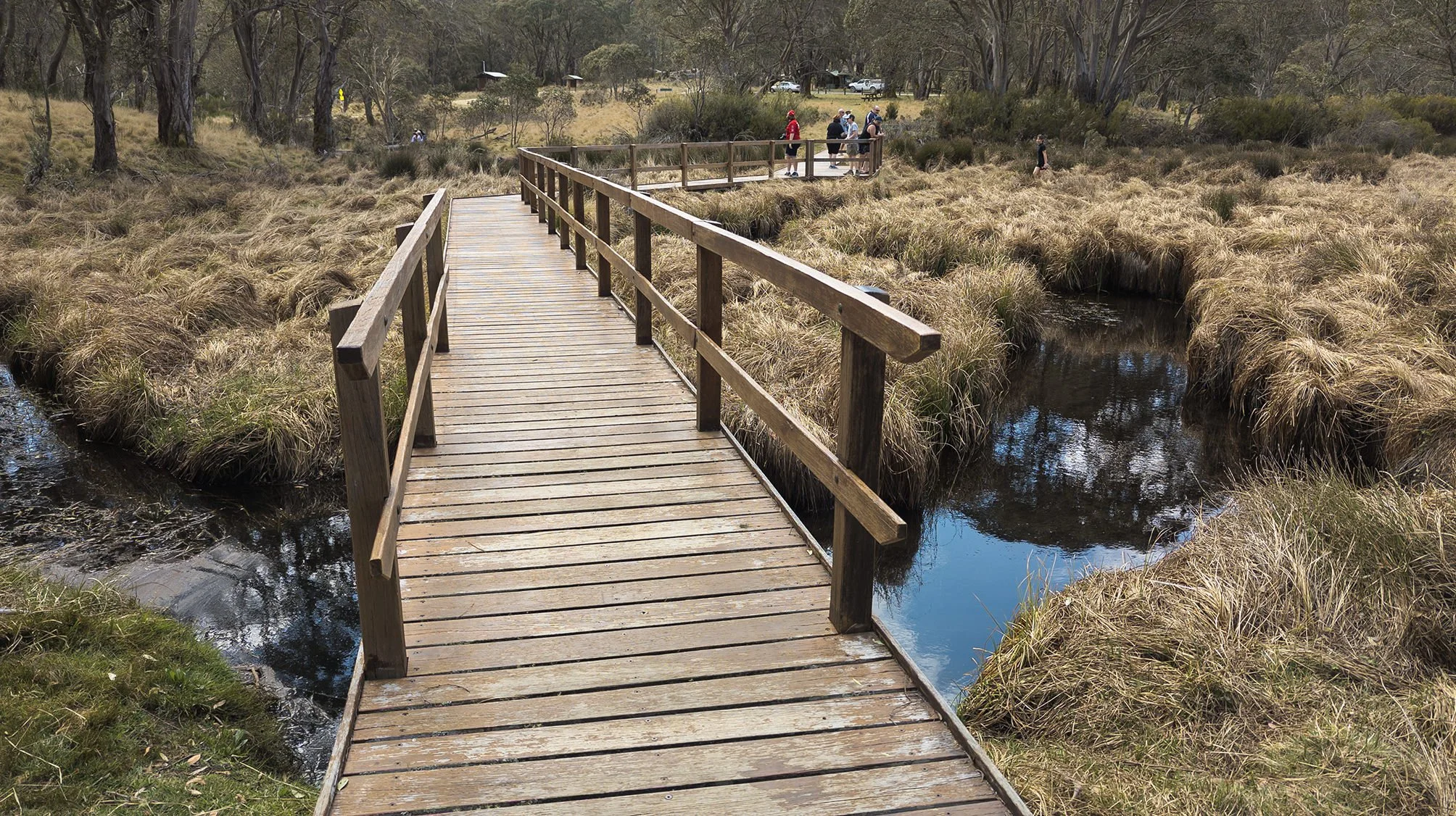 Moonan Long Weekend at Moonan Flat — Seeking Nature | AUS