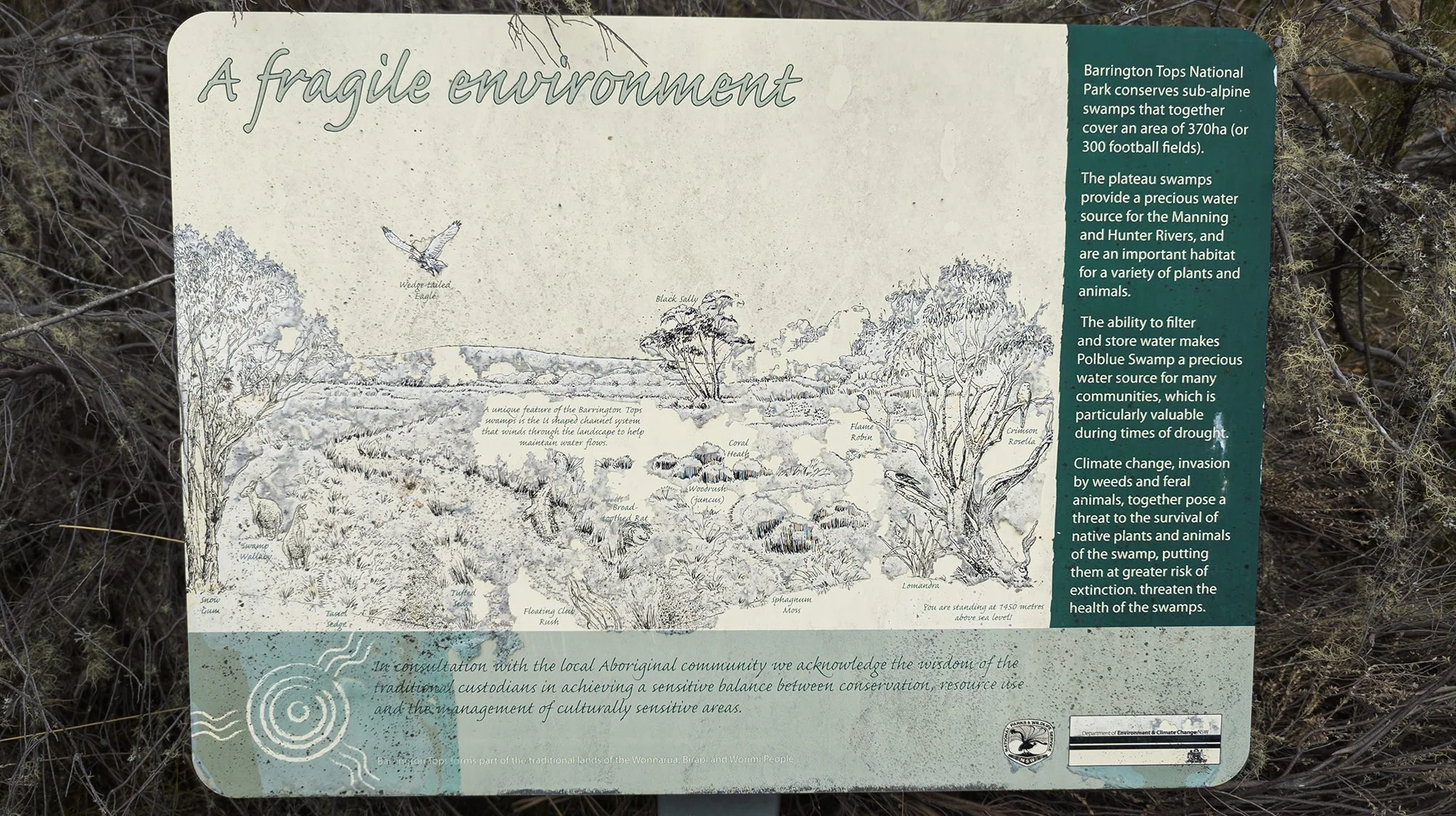 Long Weekend at Moonan Flat — Seeking Nature | AUS