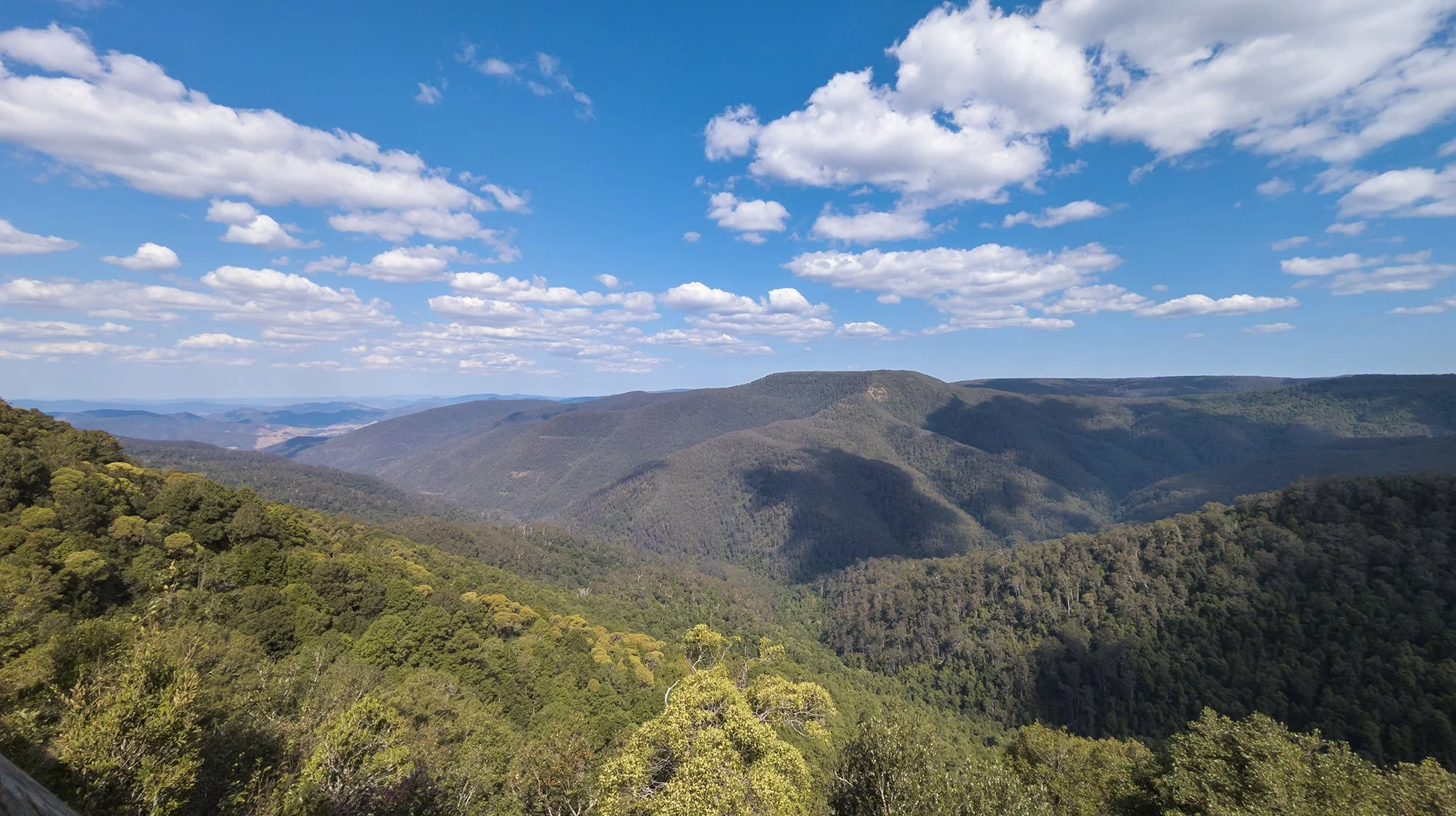 Moonan Long Weekend at Moonan Flat — Seeking Nature | AUS