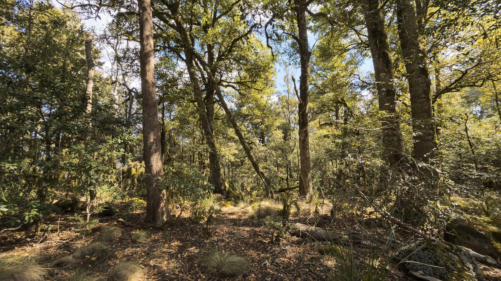 Moonan Long Weekend at Moonan Flat — Seeking Nature | AUS