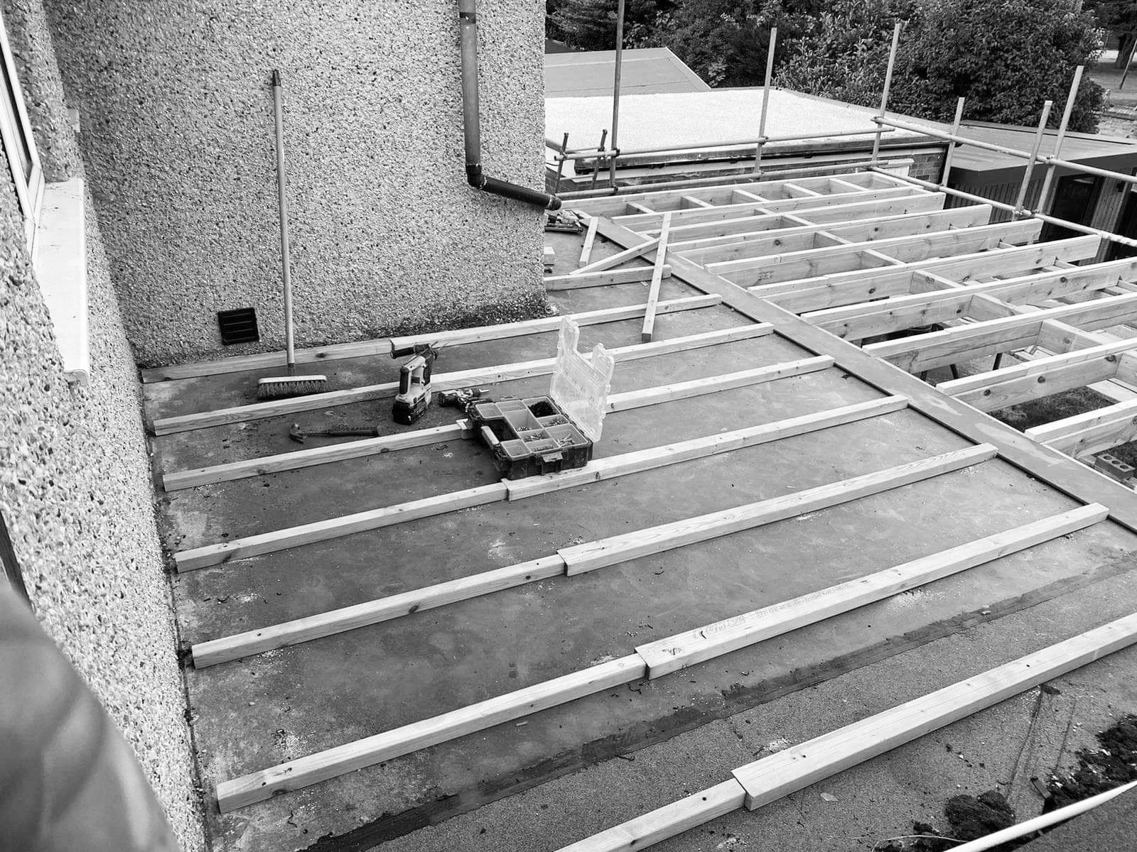 WhatsApp Image 2023-05-30 at 16.05.14.jpeg