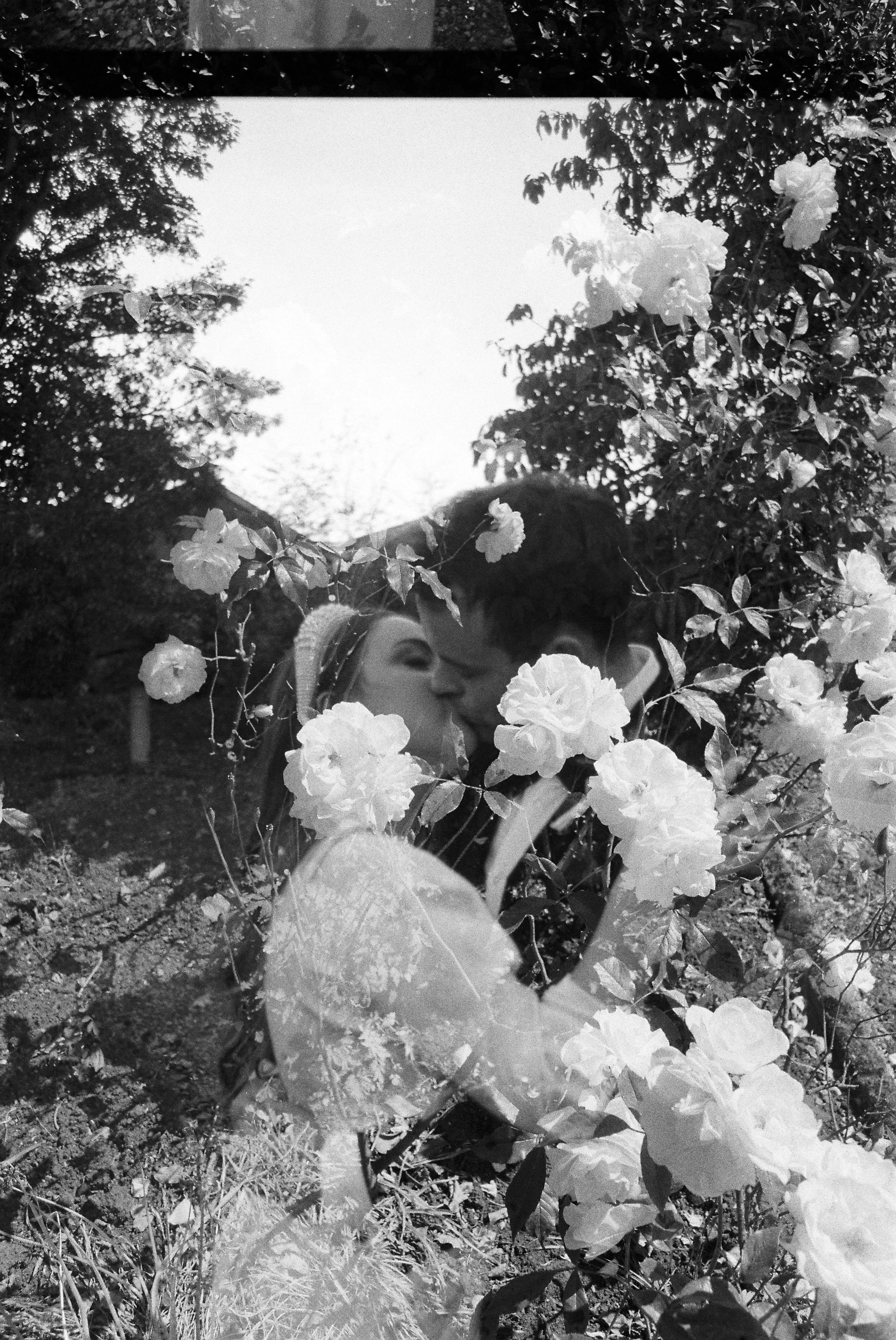 A black and white photo of a couple kissing amidst flowering bushes, with trees and a building in the background.