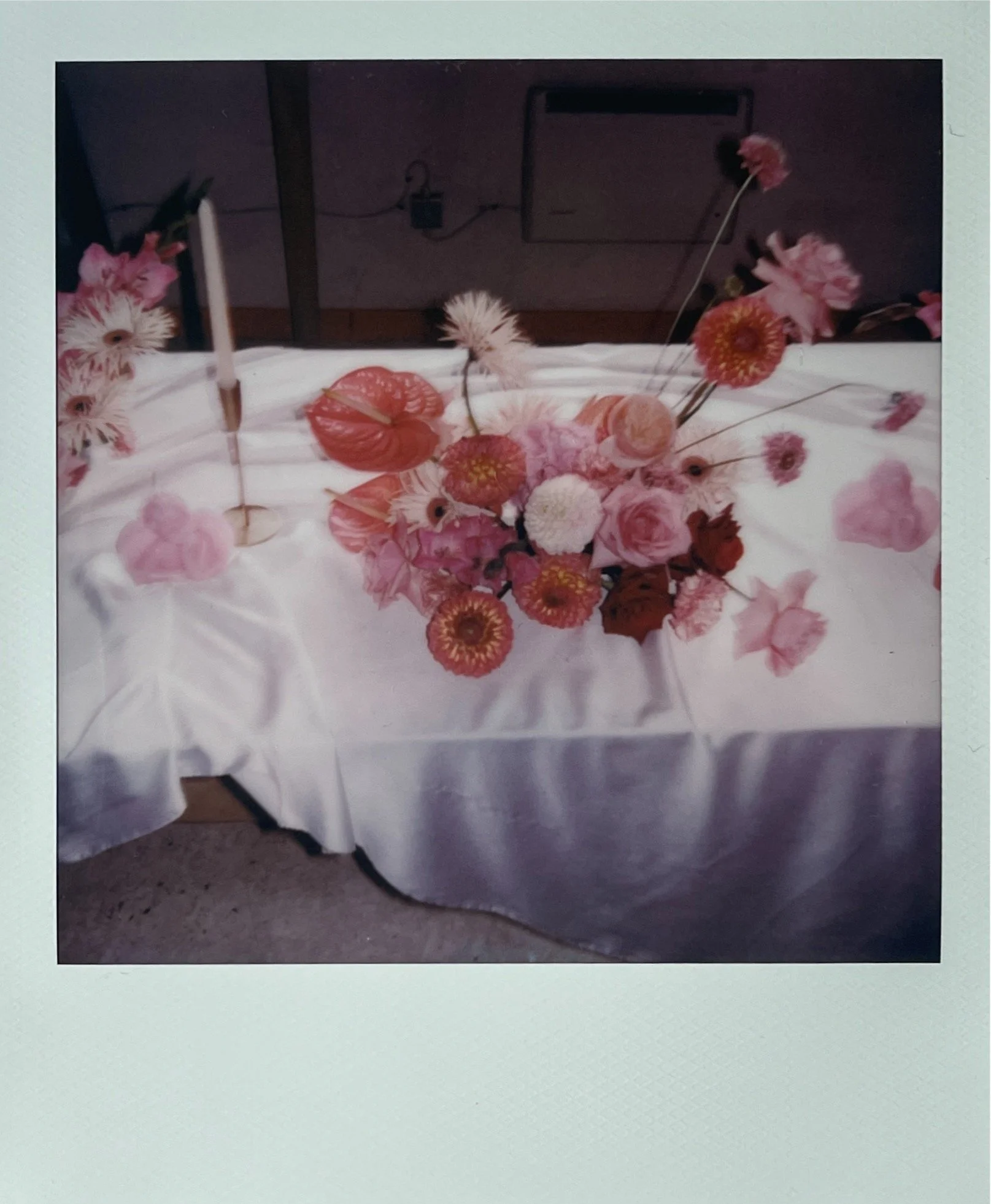 IMG_8485.jpeg