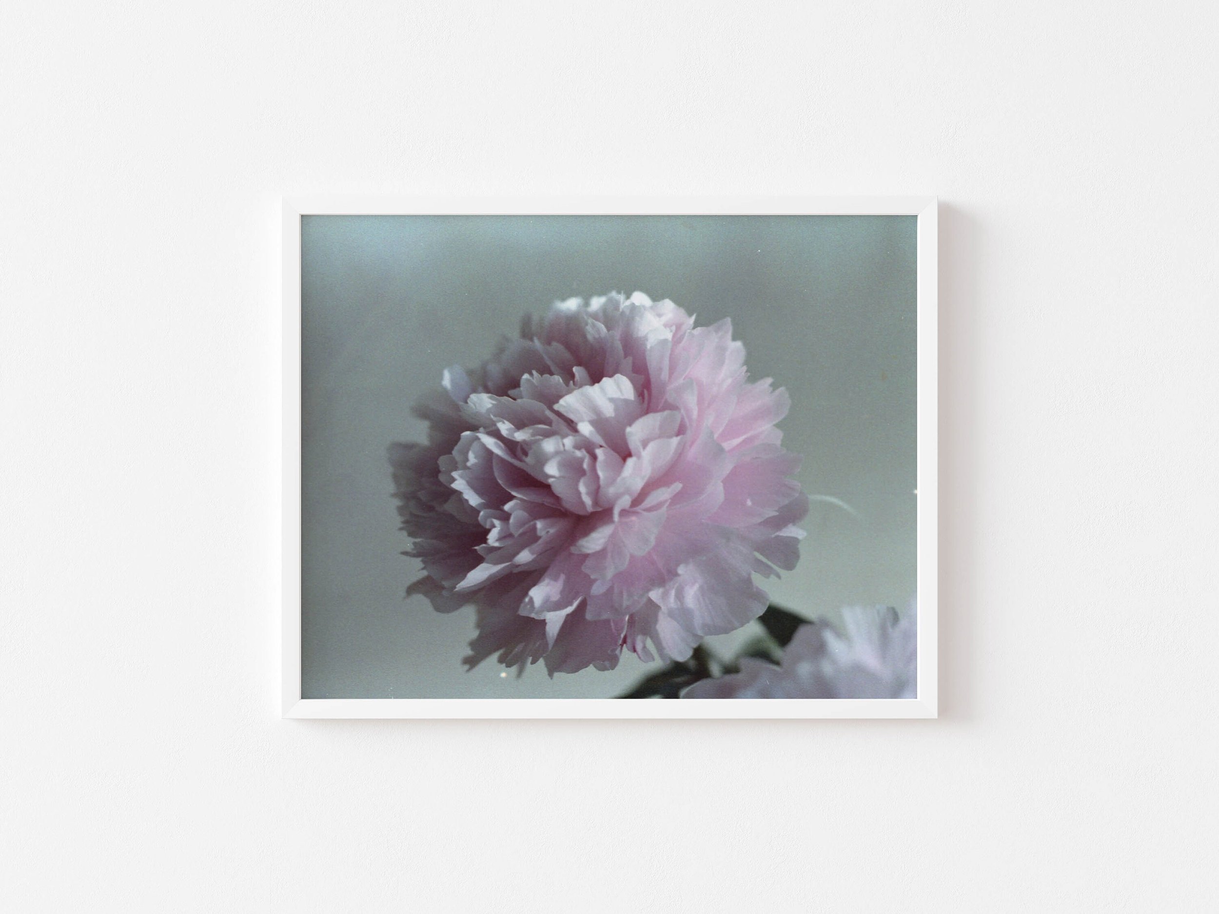 https://i.etsystatic.com/6389444/r/il/9e2004/2440568942/il_fullxfull.2440568942_4o21.jpg
