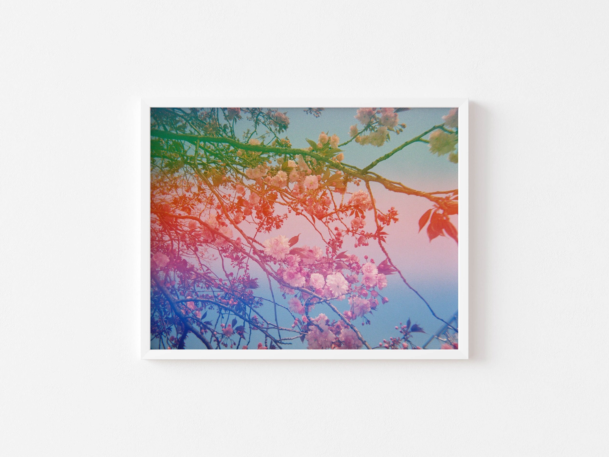 https://i.etsystatic.com/6389444/r/il/a9ab81/2440525076/il_fullxfull.2440525076_j81g.jpg