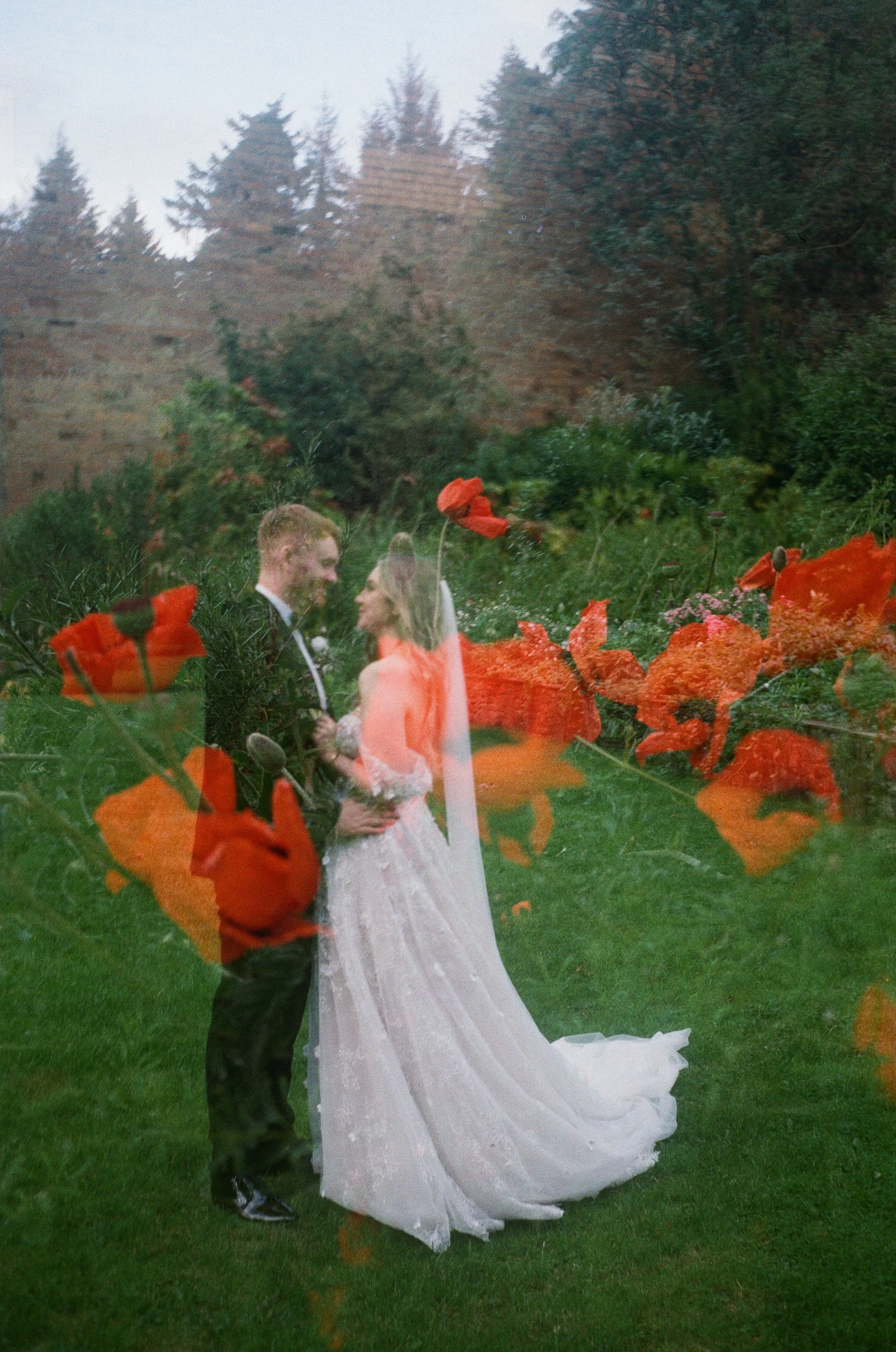 A double-exposure photograph featuring a couple in wedding attire embracing in a garden, overlaid with red poppy flowers.