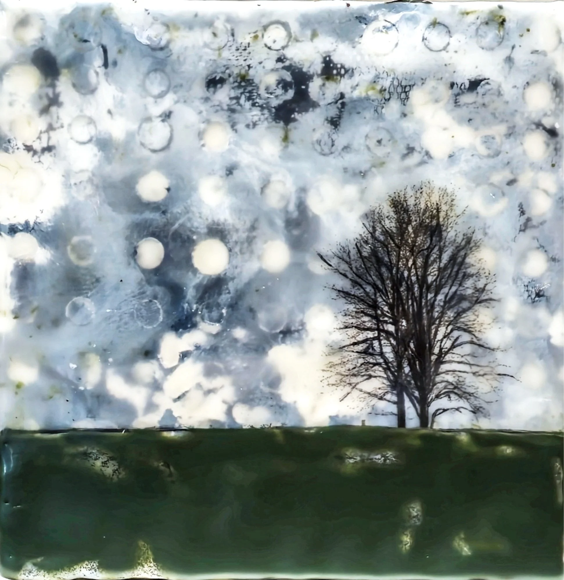 ROOTED IN RESOLVE 
8" x 8" Encaustic on Deep Cradle Board