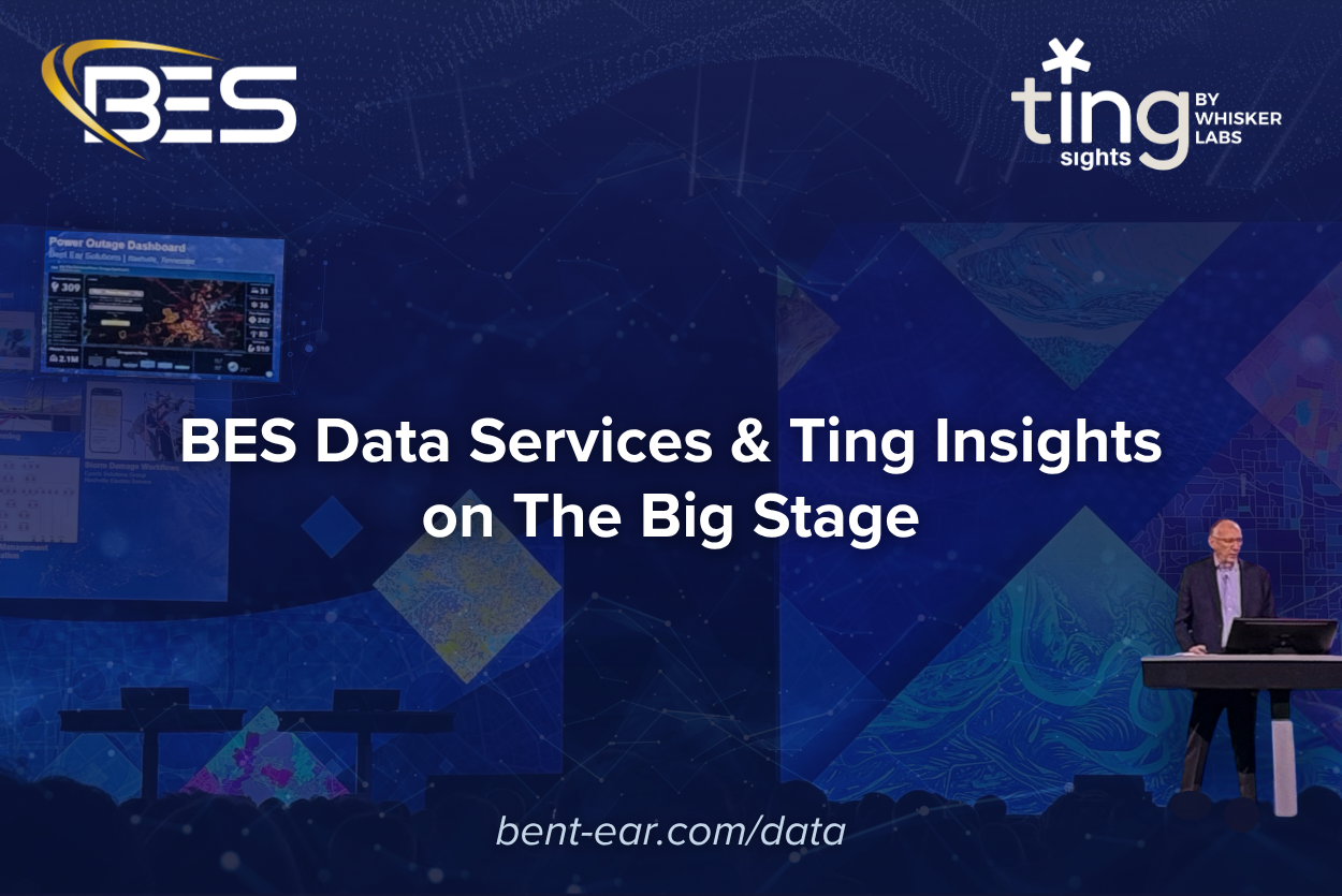 BES Data Services &amp; Ting Insights on The Big Stage