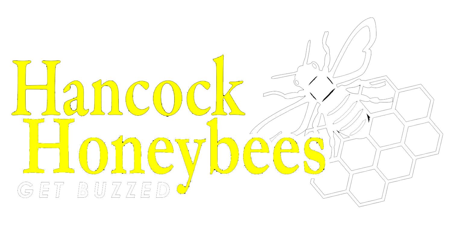 Hancock Honeybees