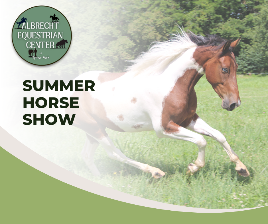 Summer Horse Show